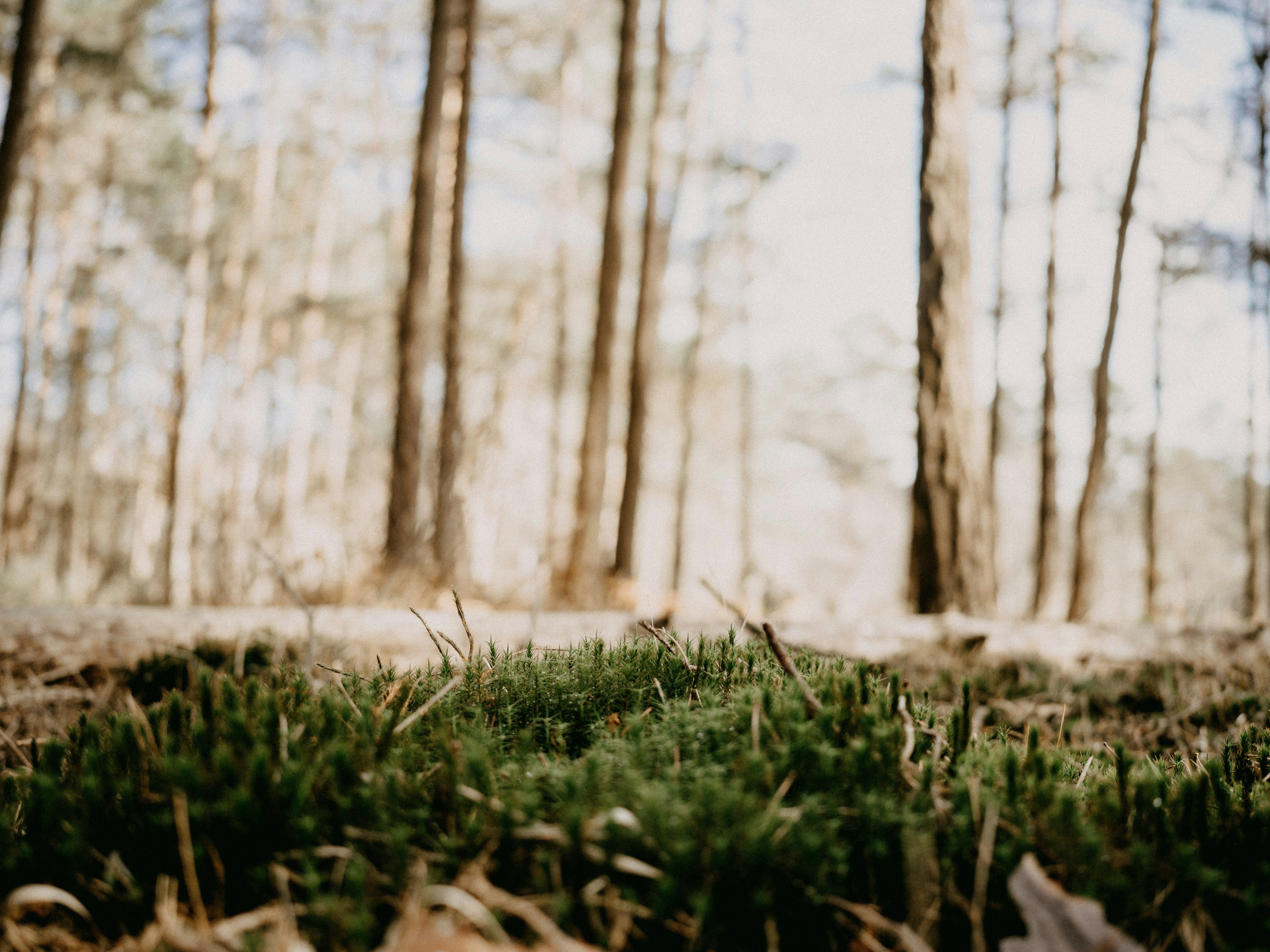 Photo by anniespratt