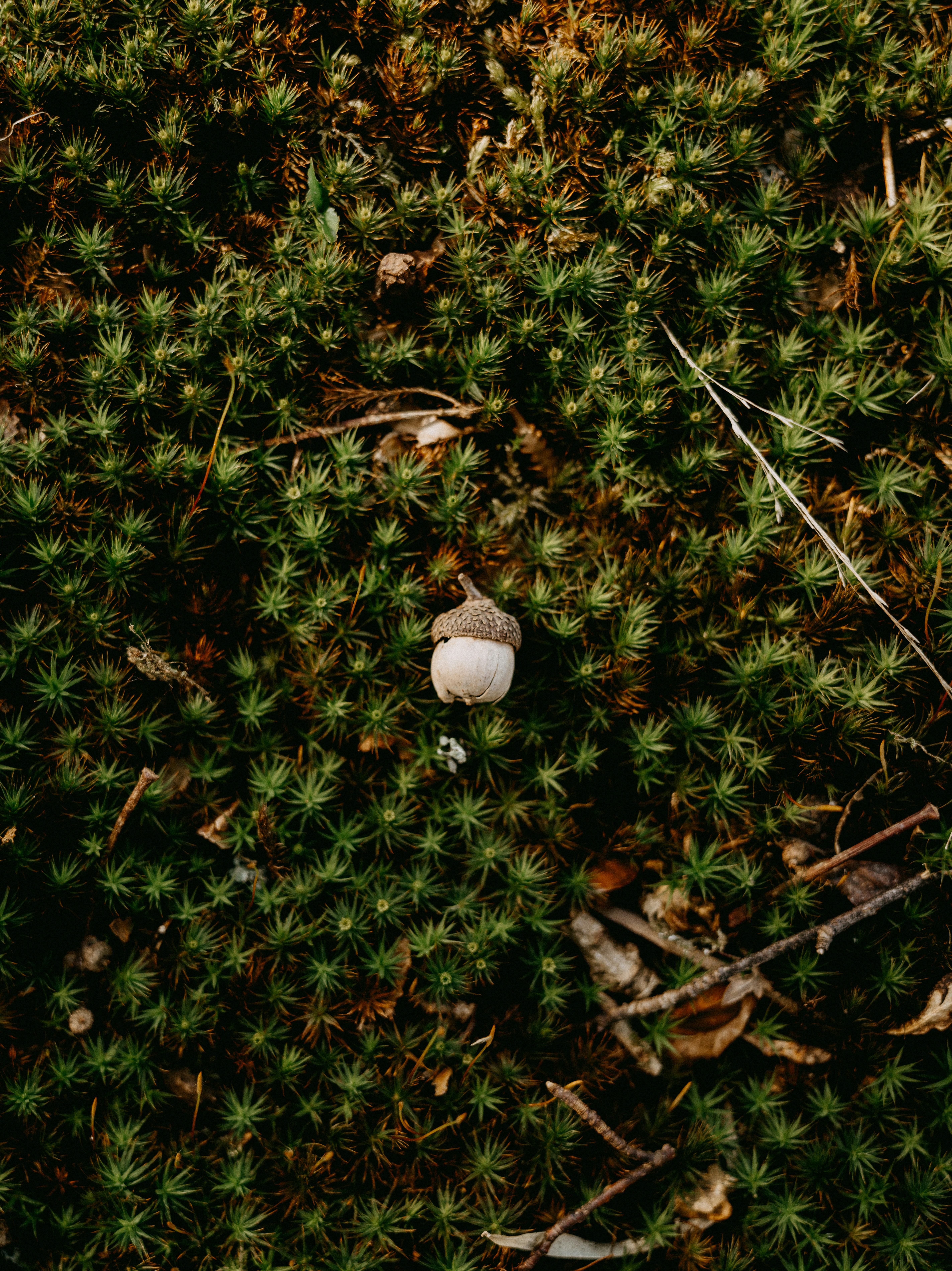 Photo by anniespratt