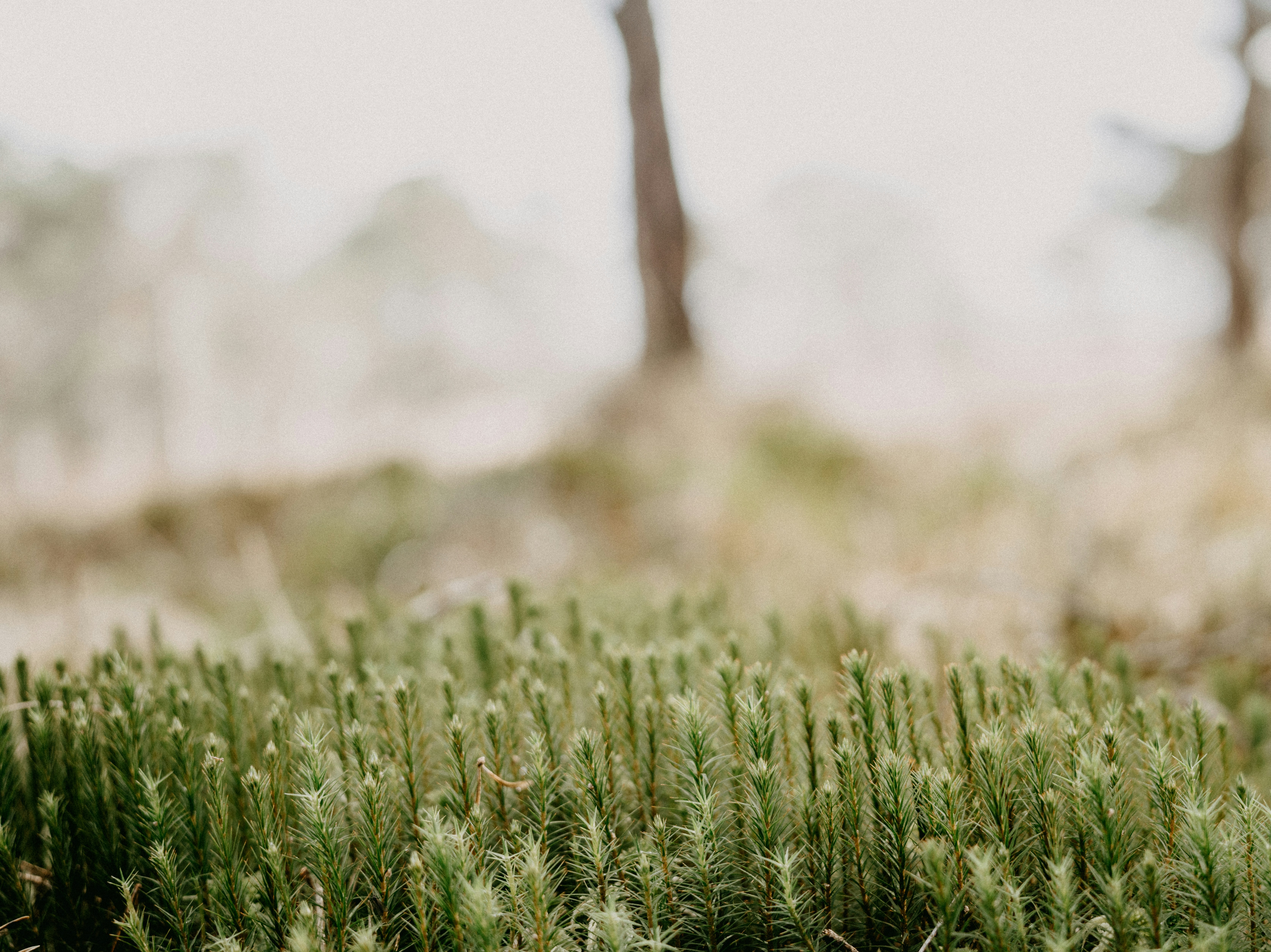 Photo by anniespratt