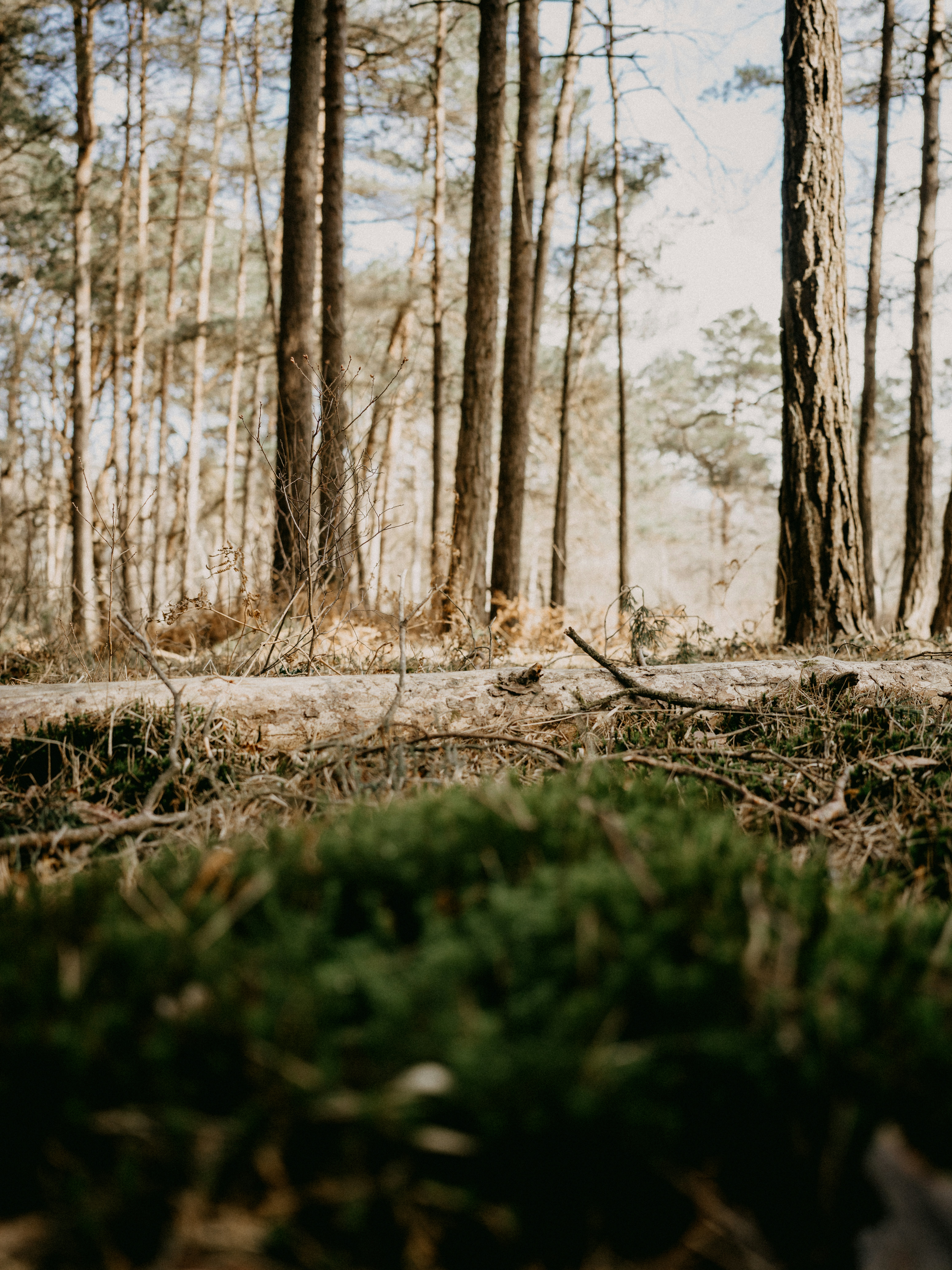 Photo by anniespratt