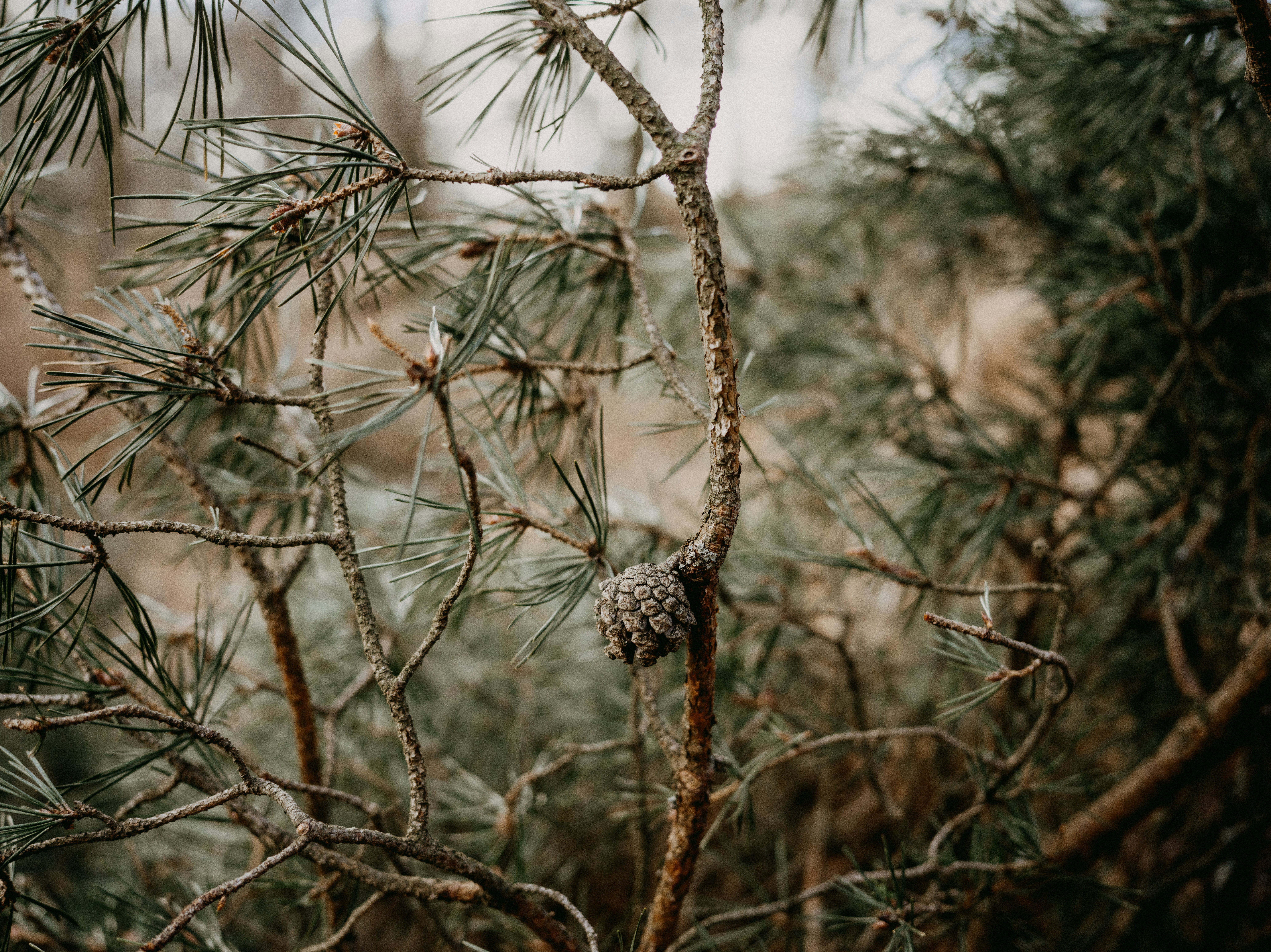 Photo by anniespratt