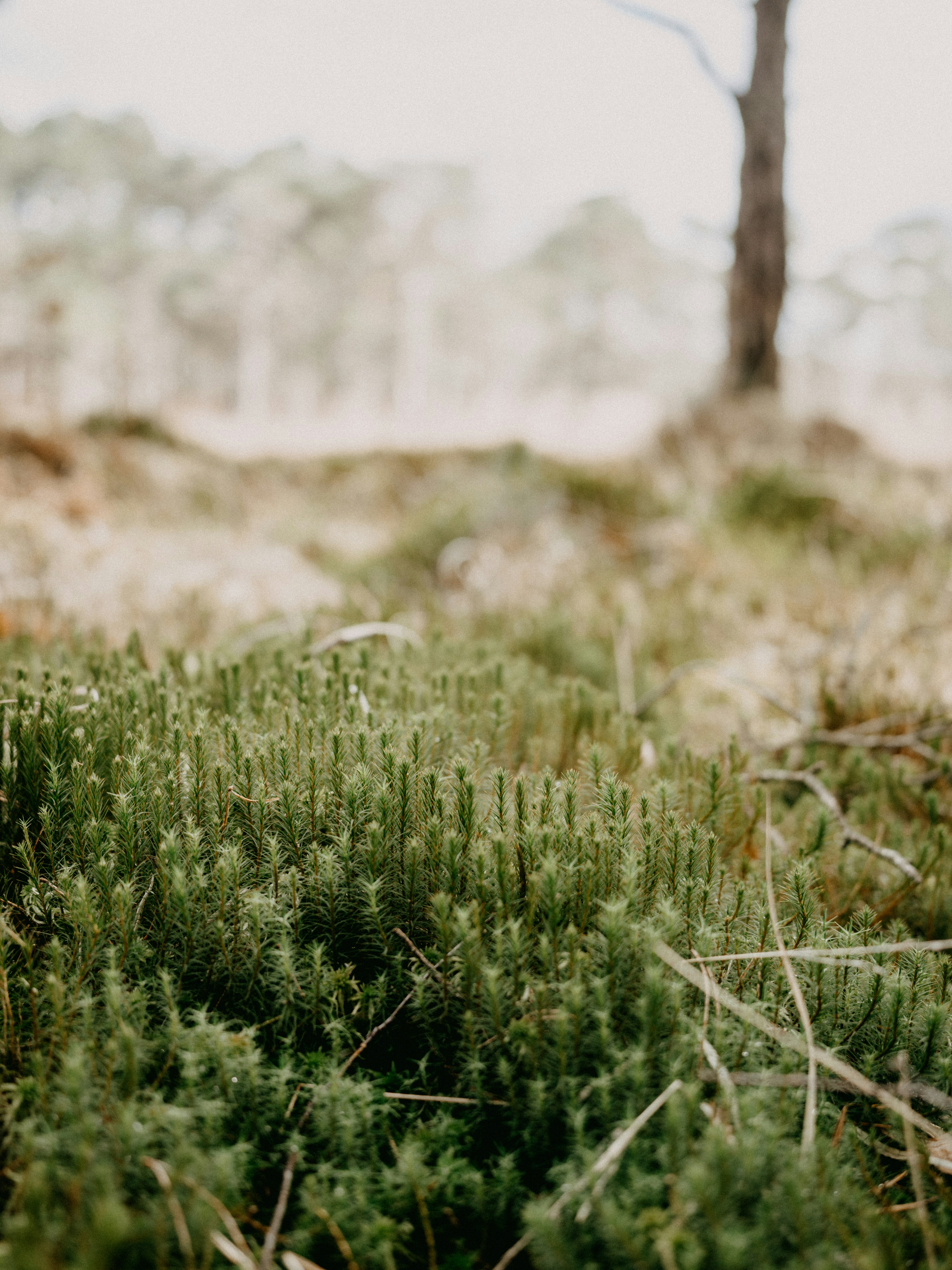 Photo by anniespratt