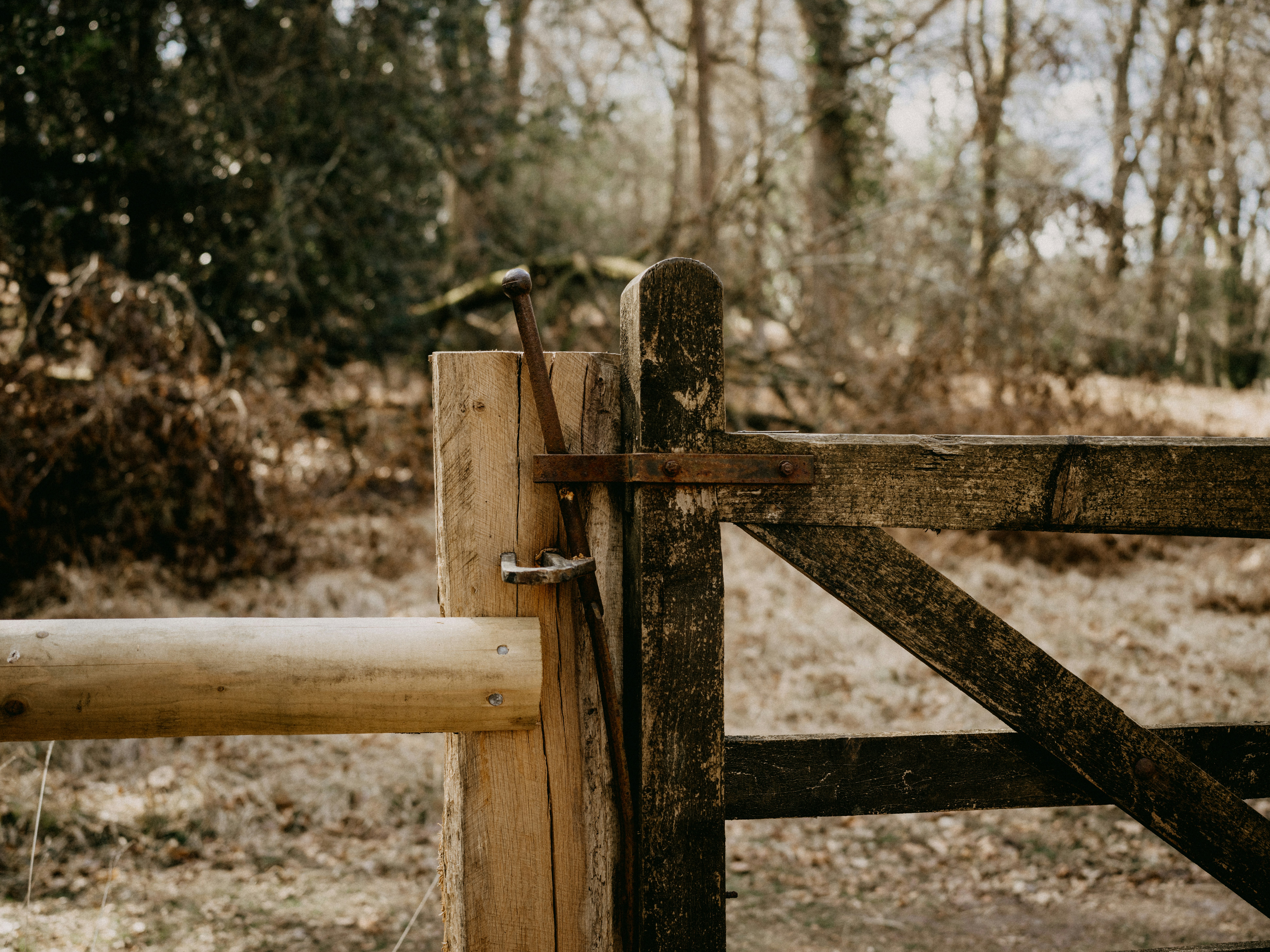 Photo by anniespratt