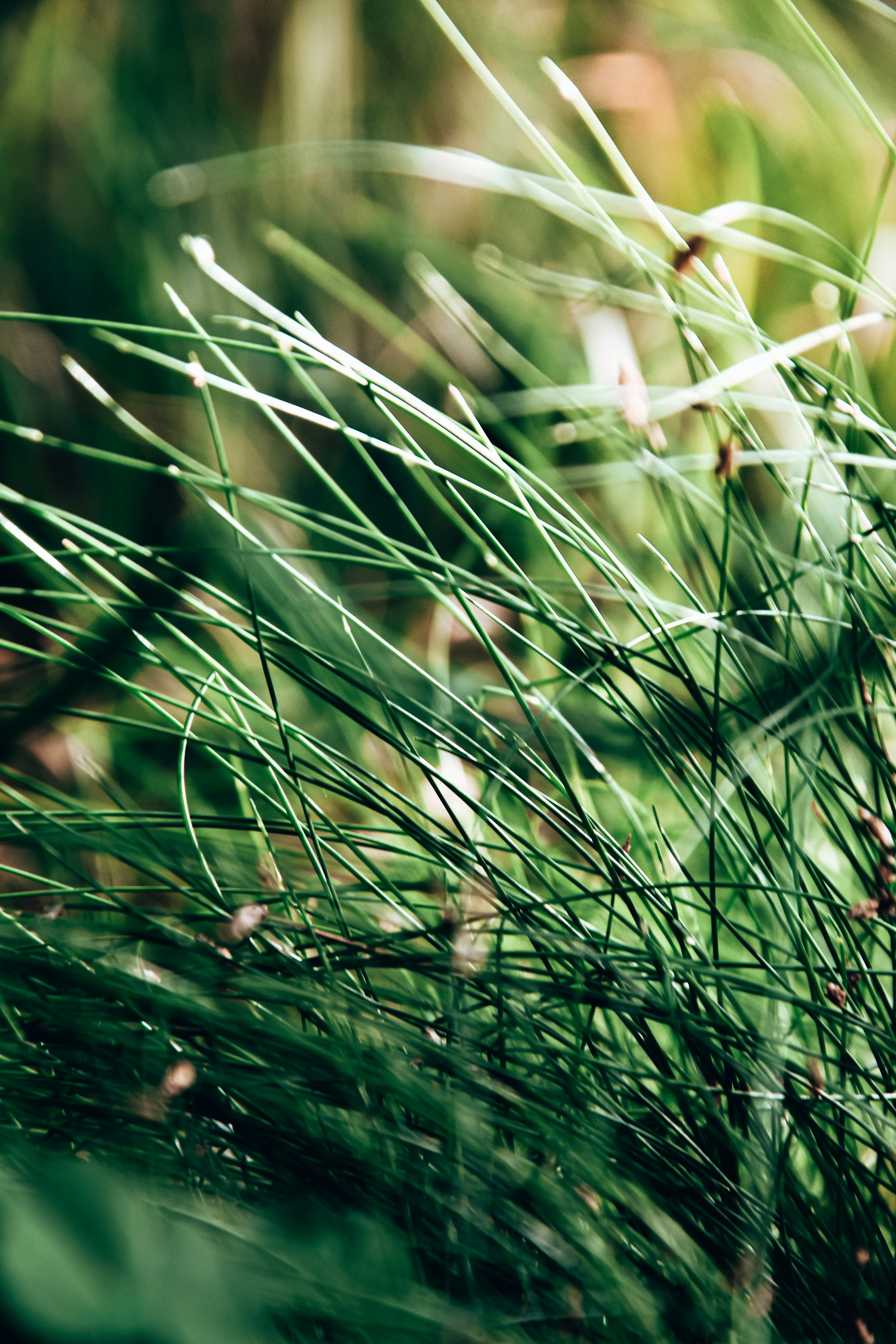 Photo by impermanent