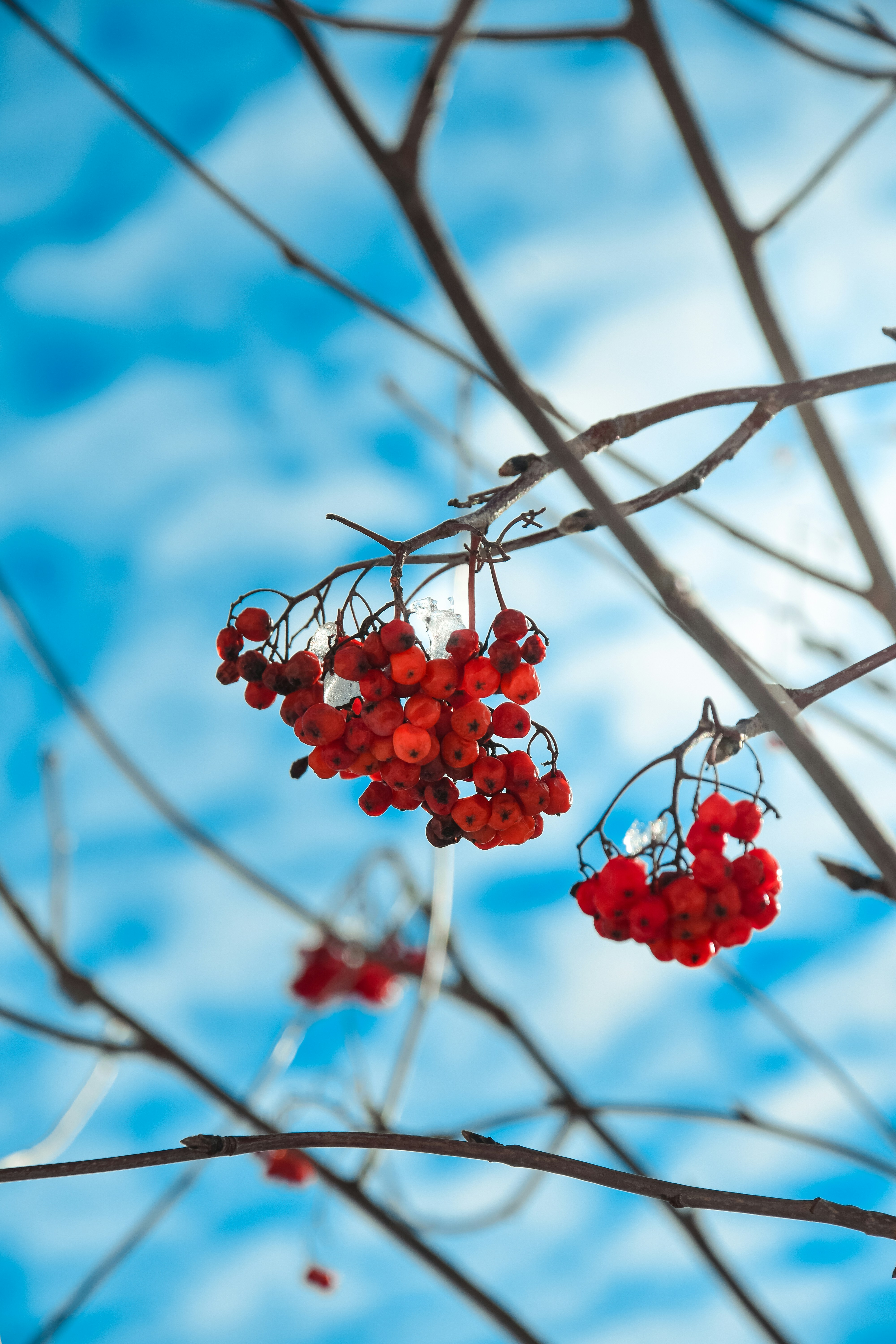 Photo by impermanent