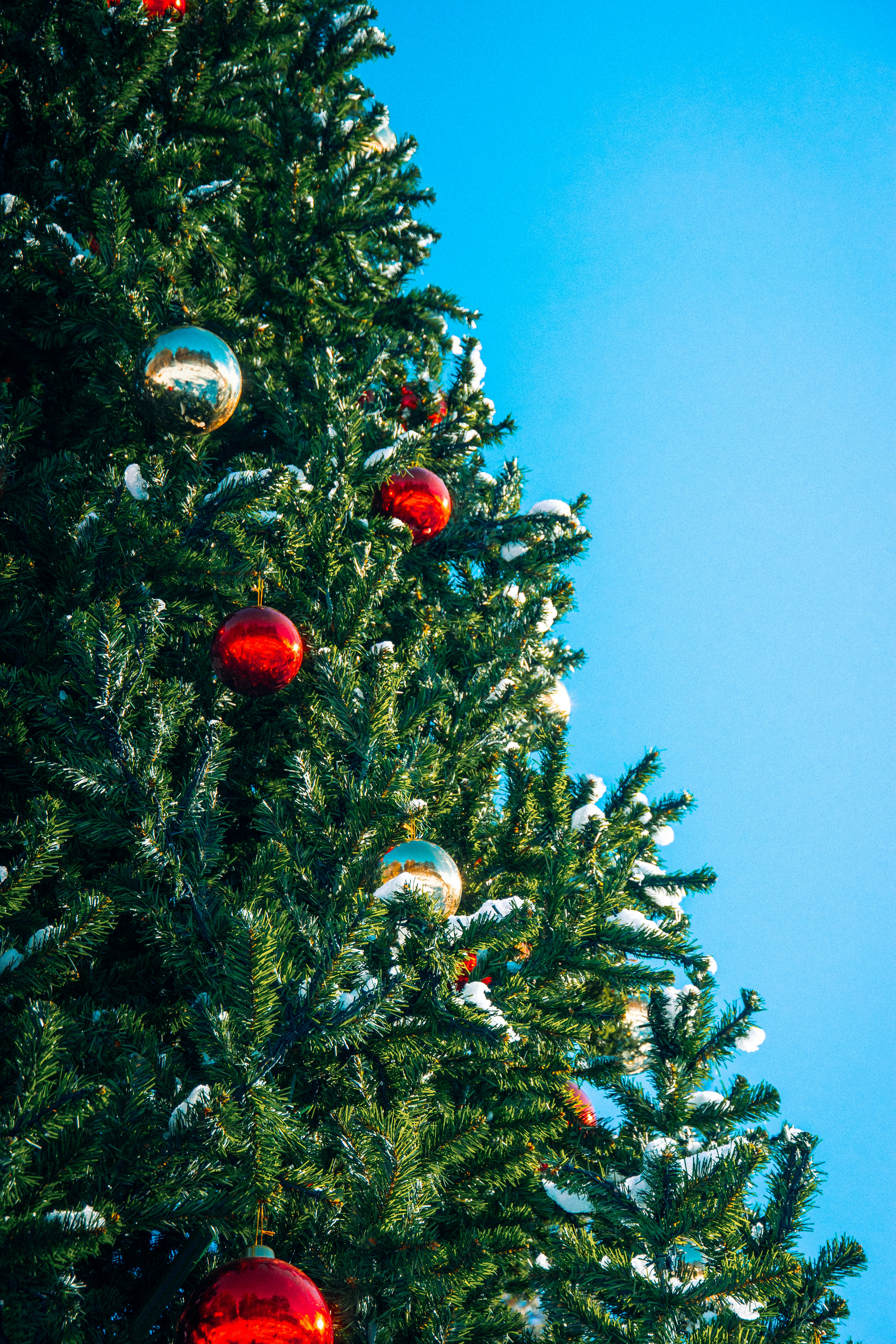 Photo by impermanent