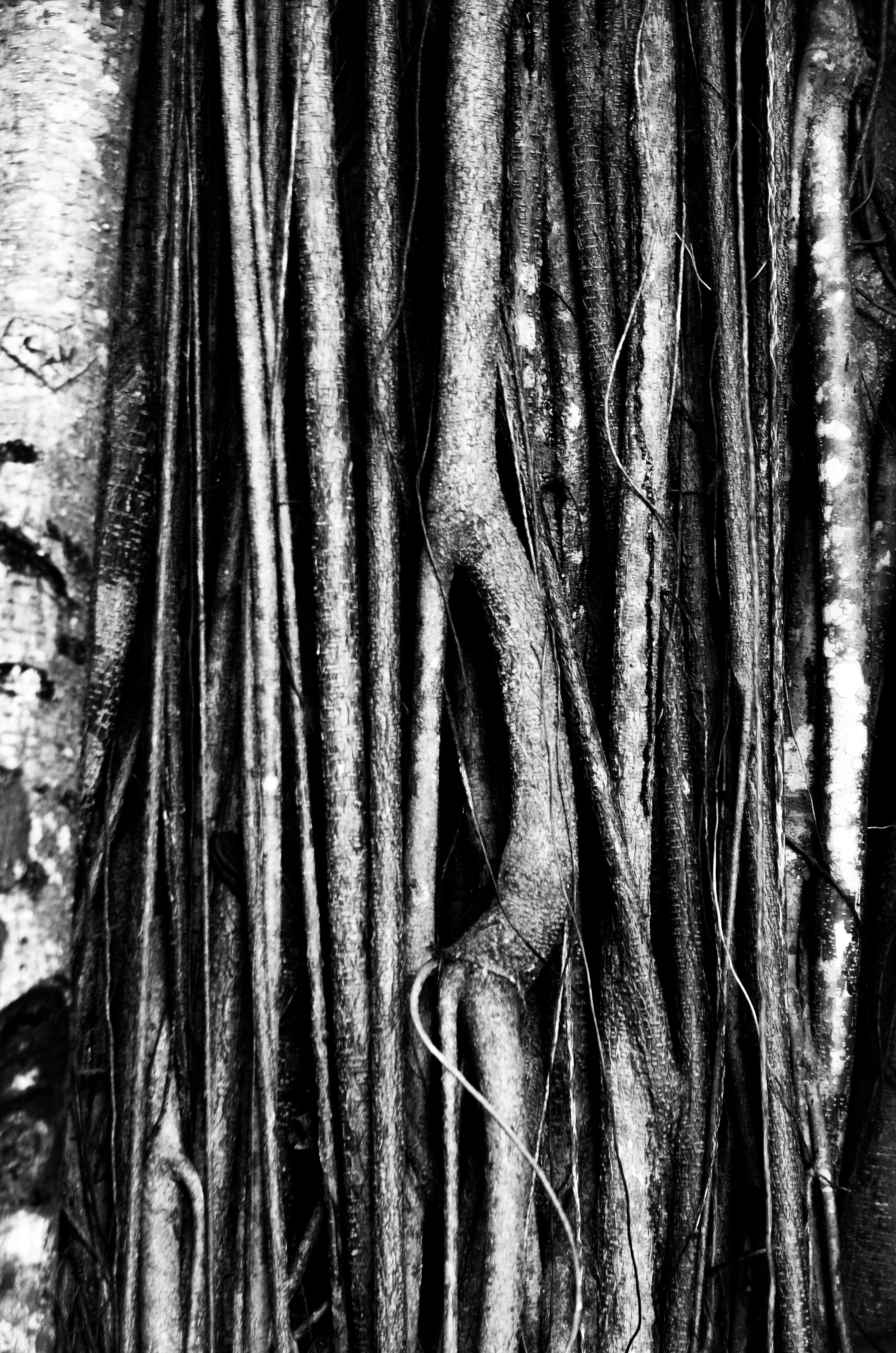 Photo by elinemarrieth