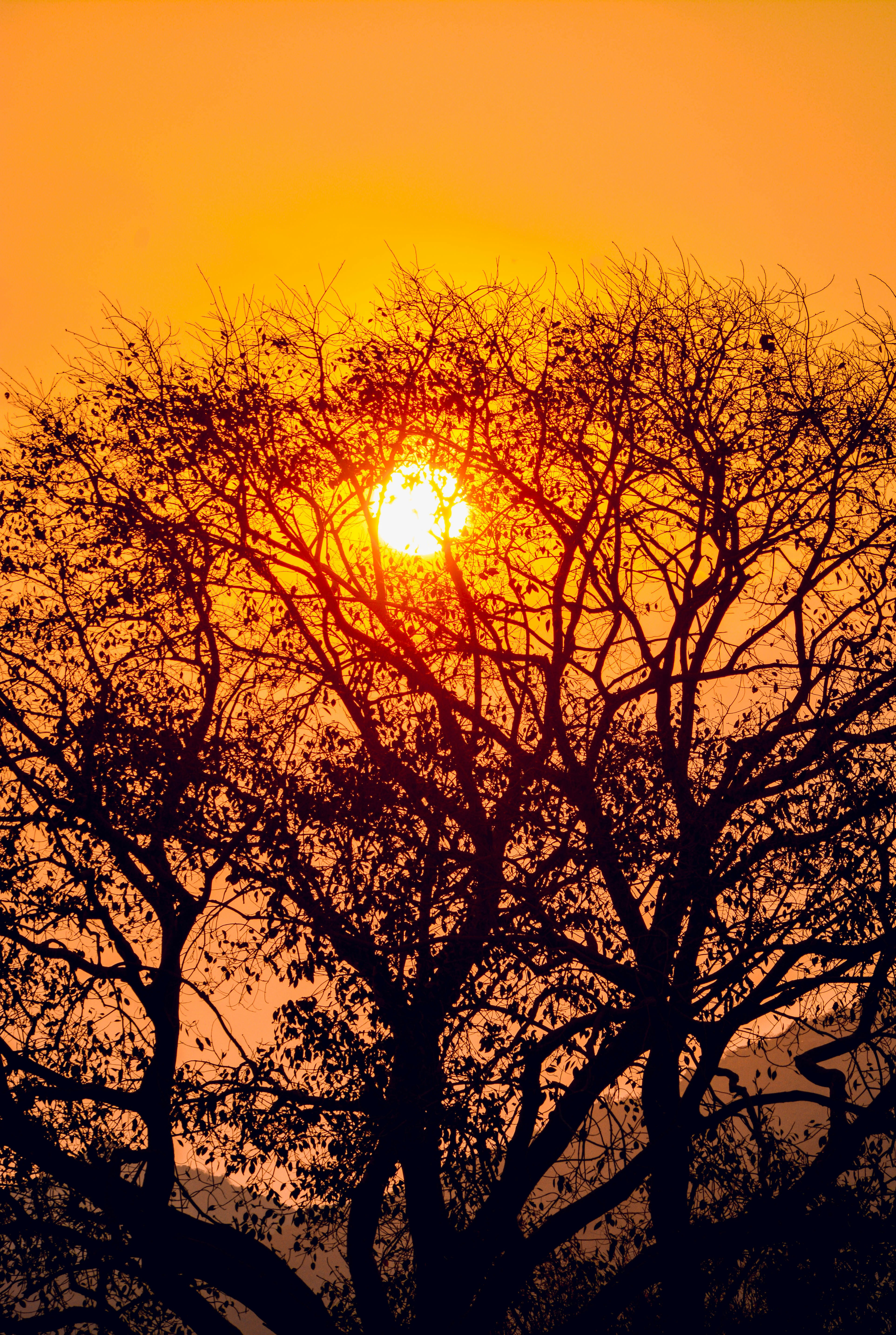 Photo by navi_photography