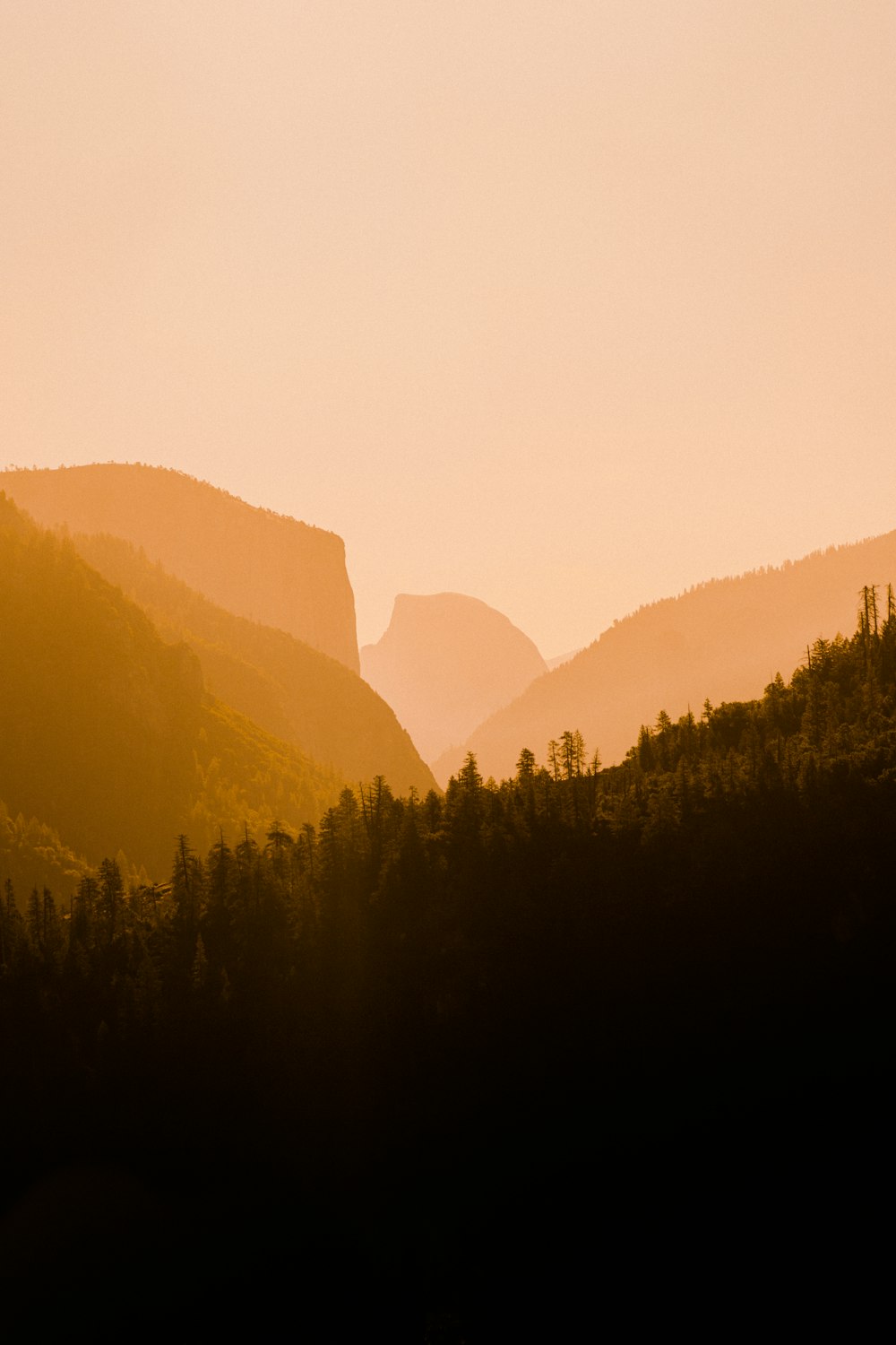 a view of a mountain range with trees in the foreground