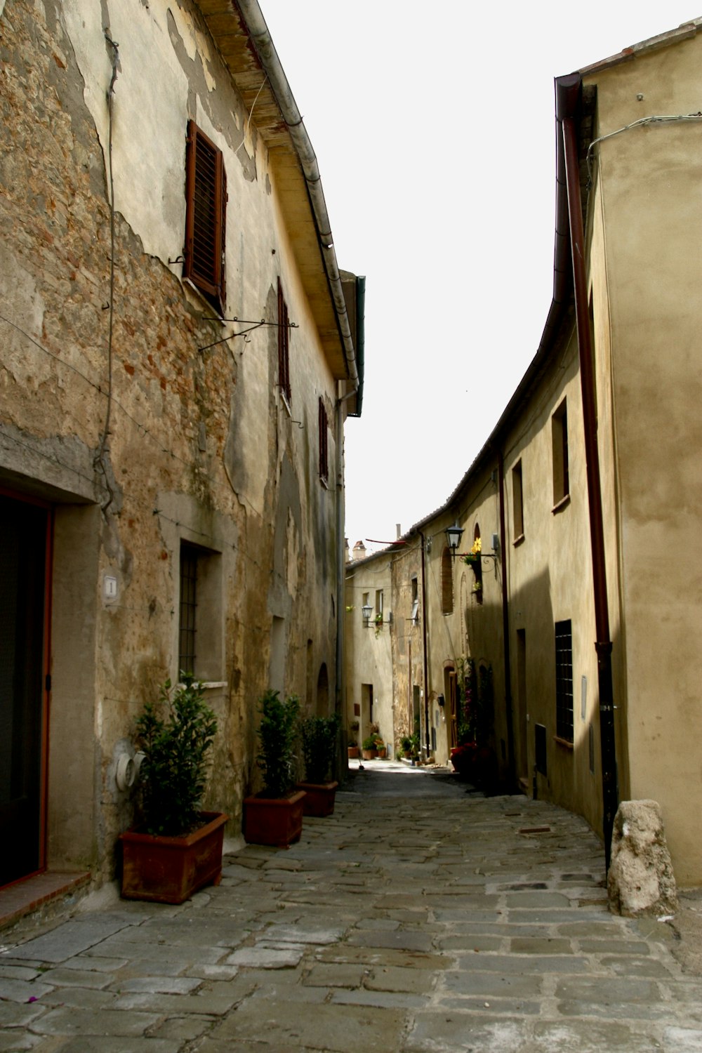 a cobblestone street lined with buildings and potted plants