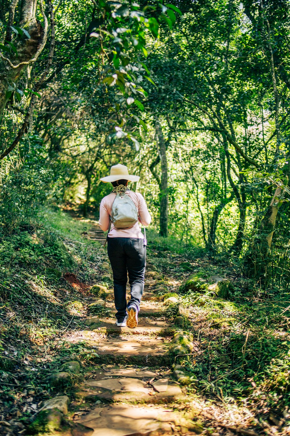 a person walking down a path in the woods