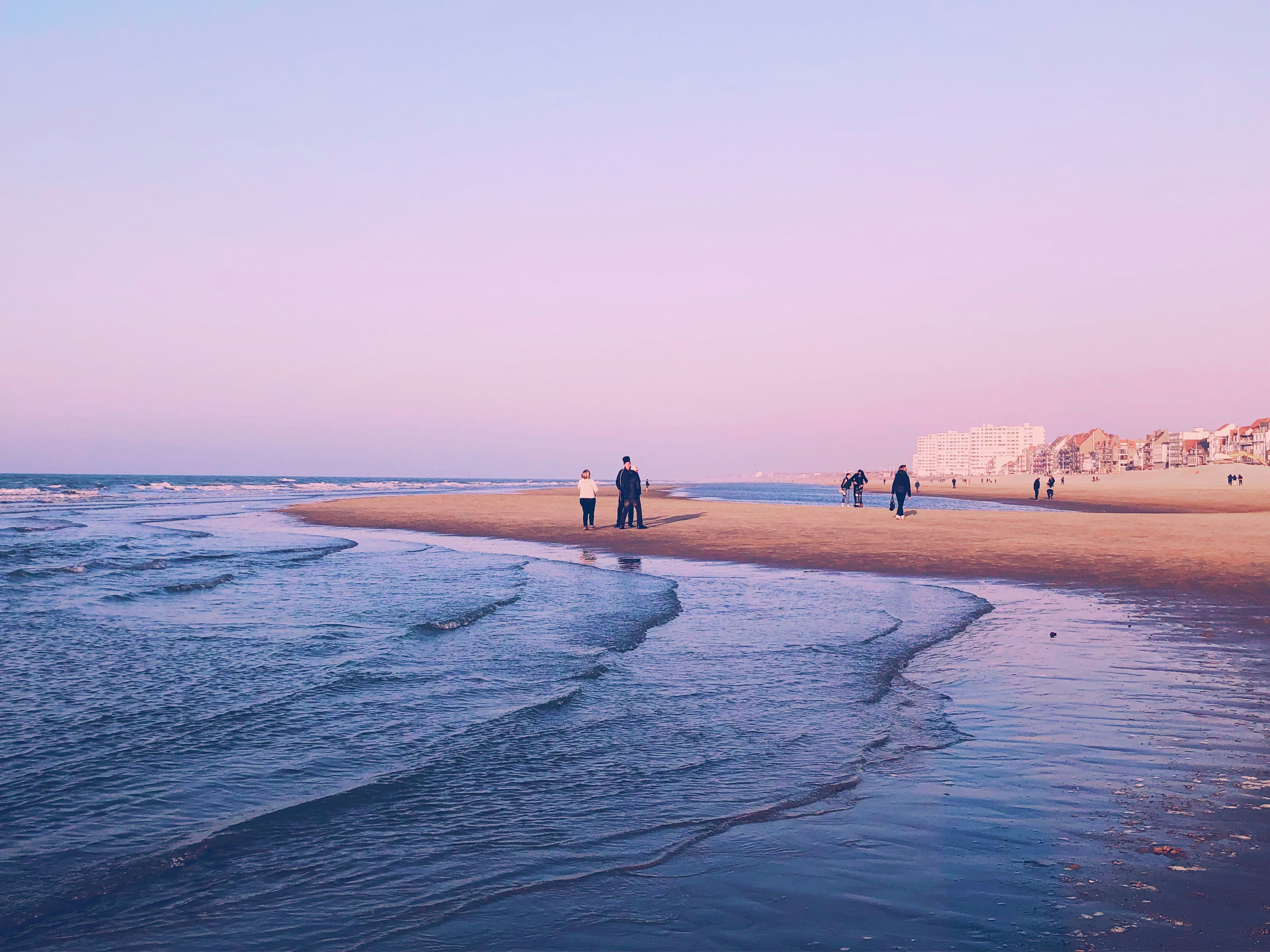 a group of people standing on top of a beach next to the ocean