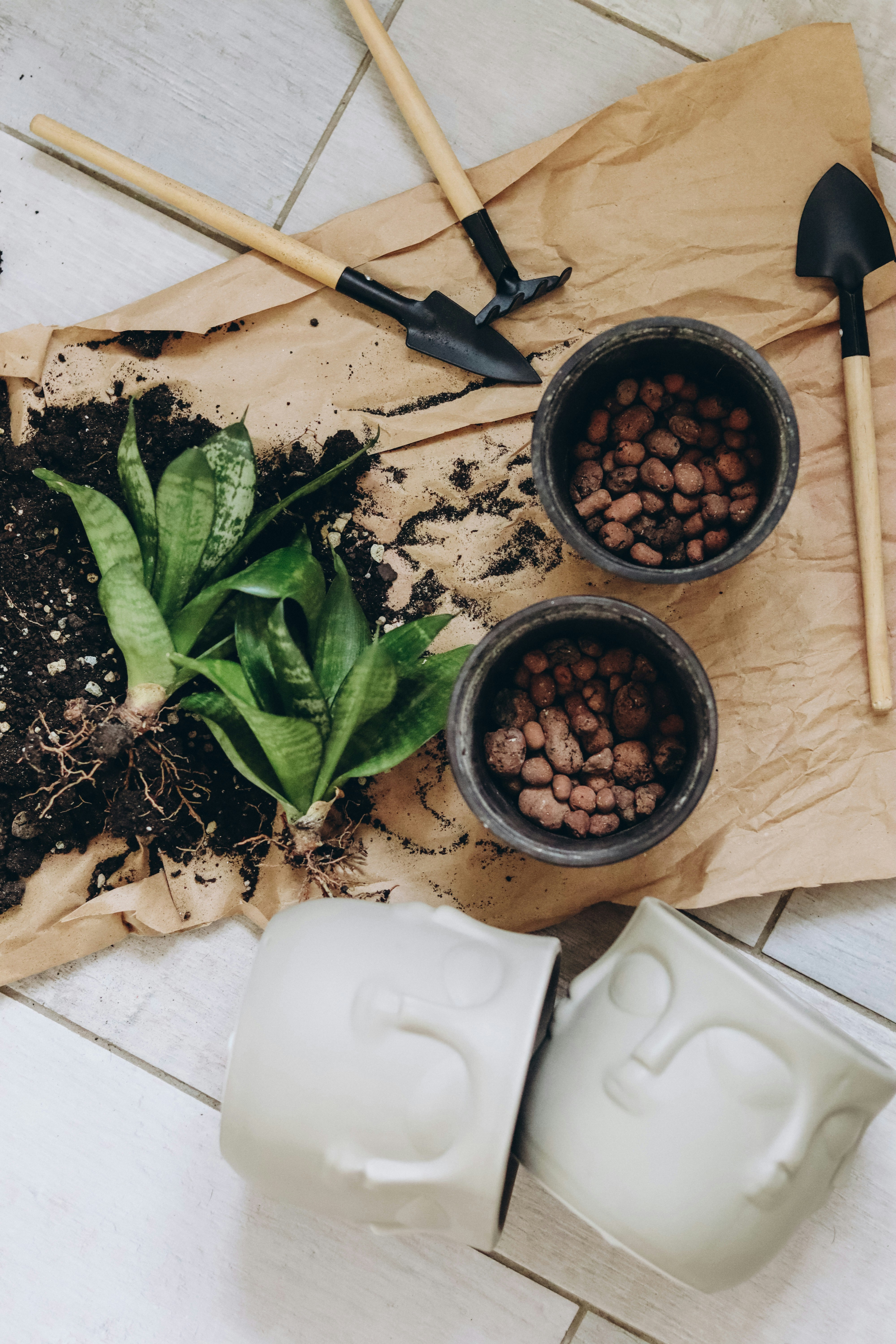 Photo by juli_ivanina