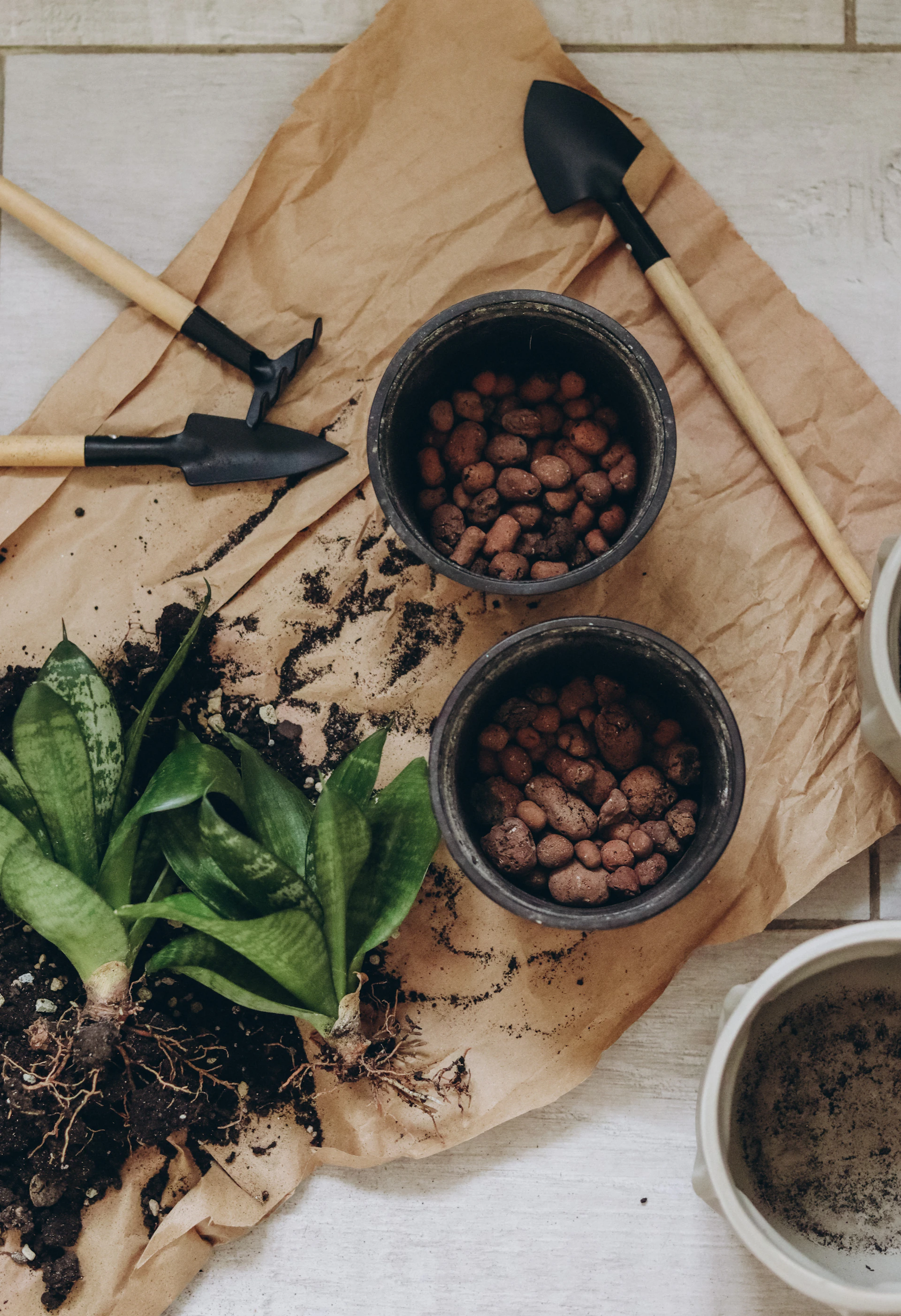 a table topped with pots filled with dirt and plants