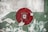 A red fire alarm button is set against a weathered wall with peeling paint, featuring shades of green and white.