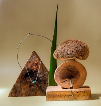 a couple of mushrooms sitting on top of a piece of wood