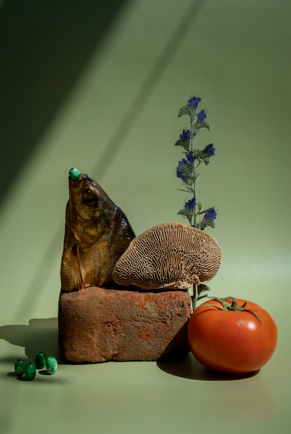 a piece of wood with a plant and a tomato on it