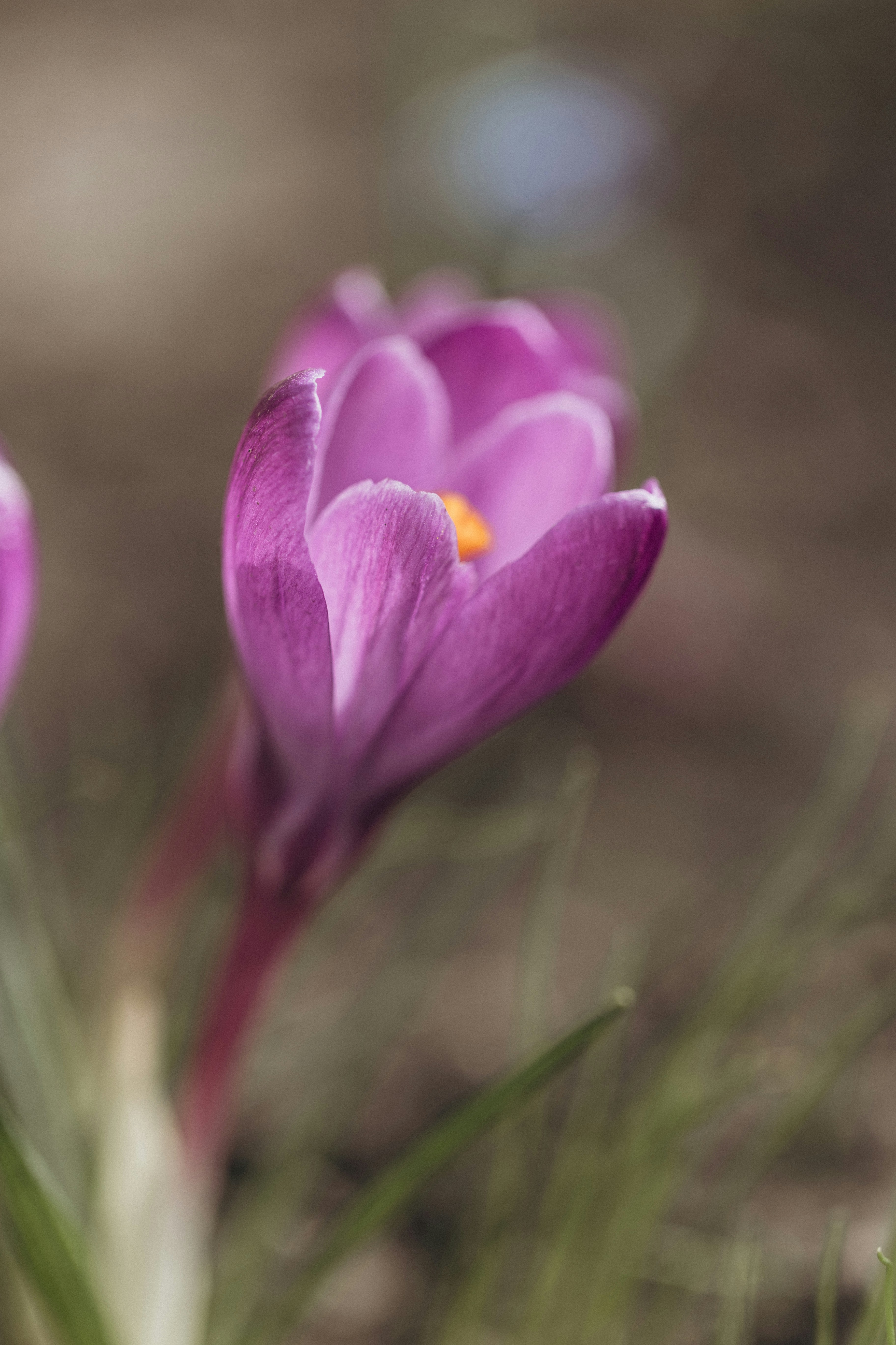 Photo by raspopovamarisha