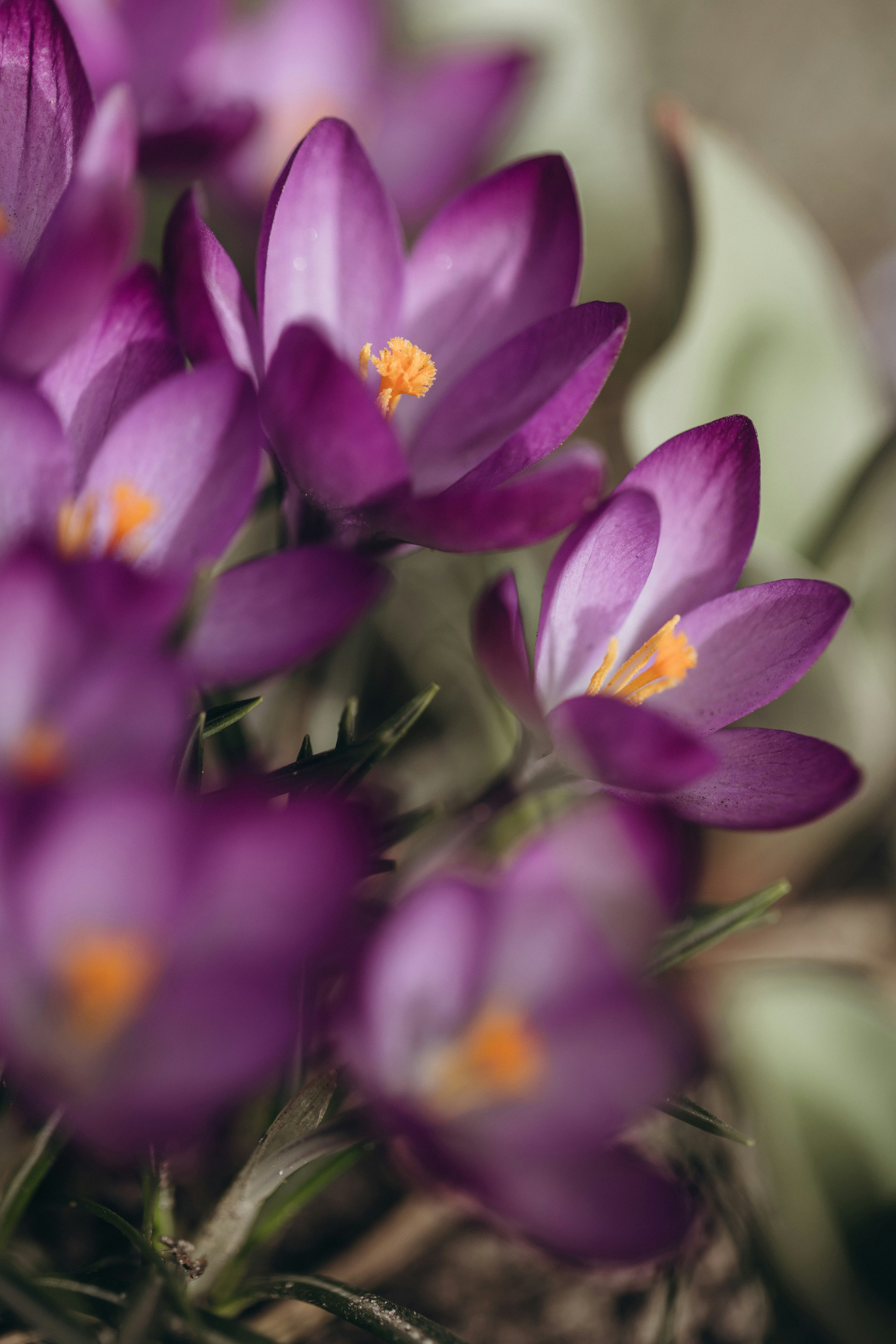 Photo by raspopovamarisha