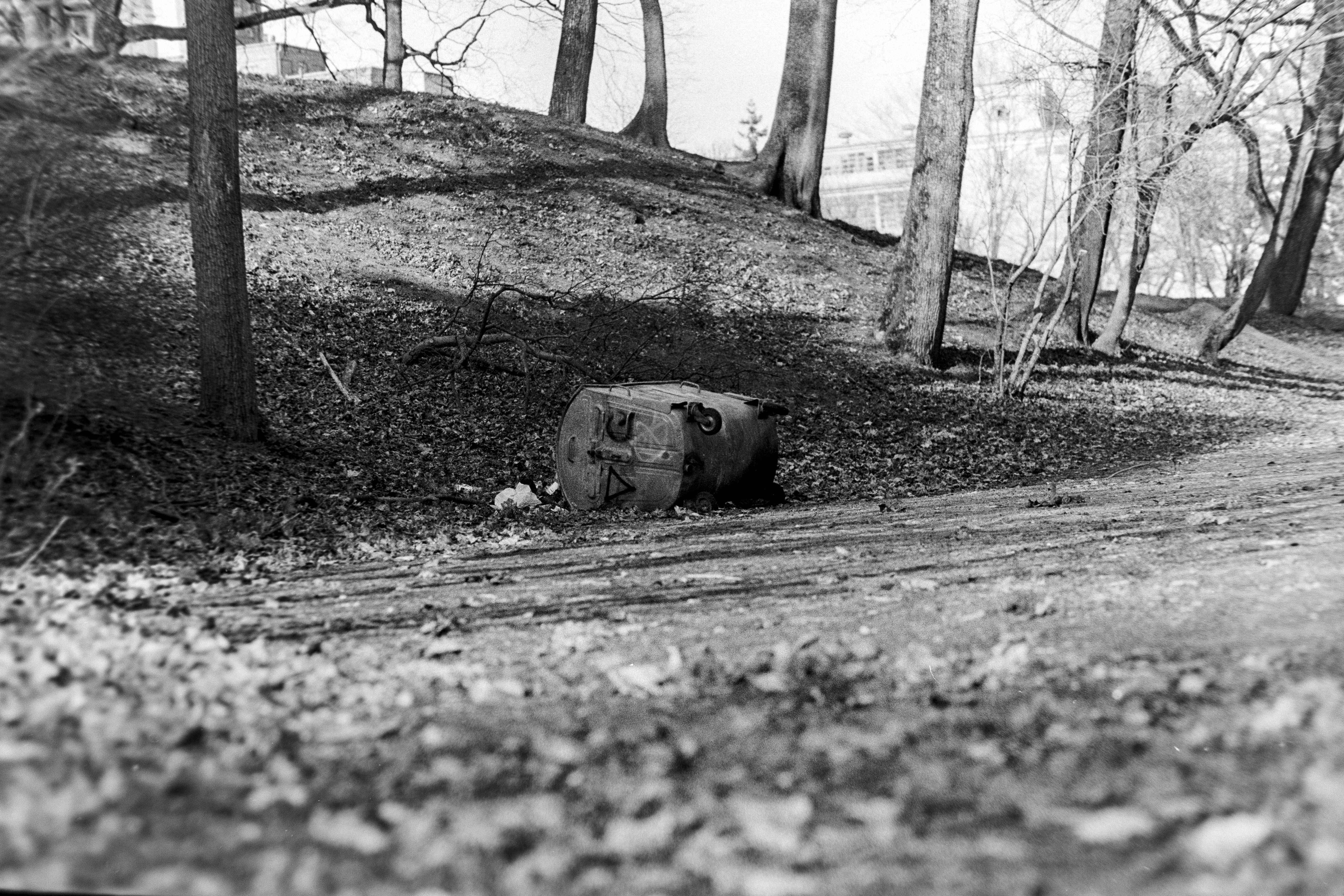 Photo by daniellezuch