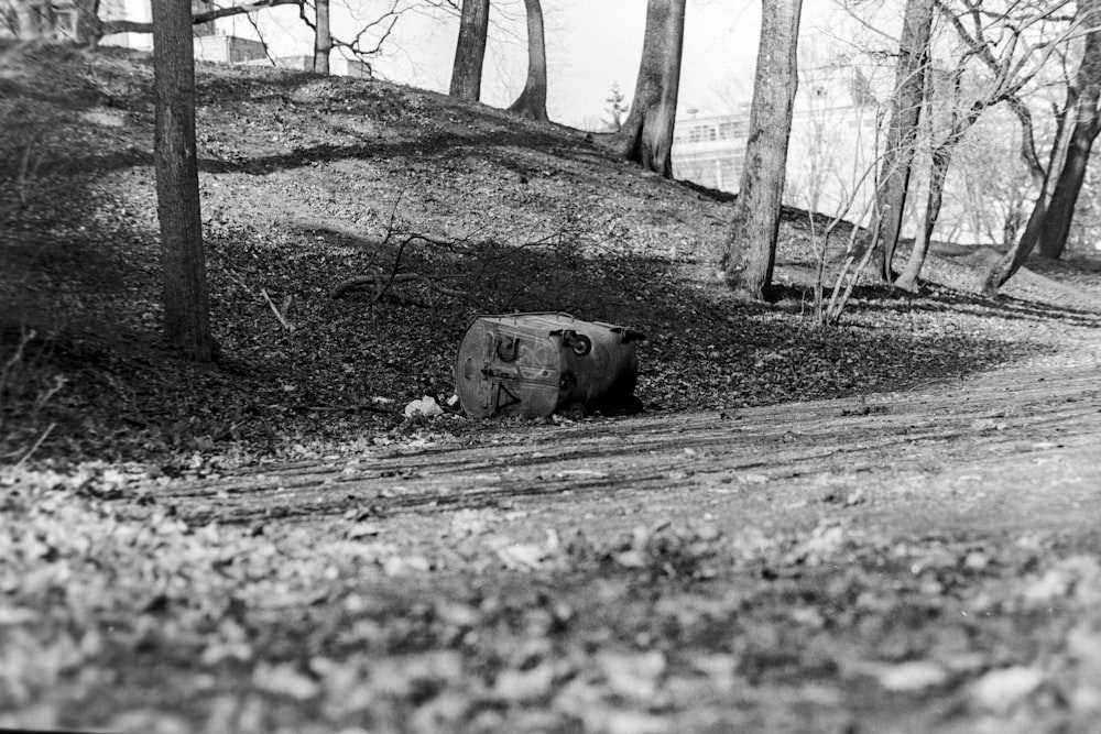 a black and white photo of a suitcase in the woods