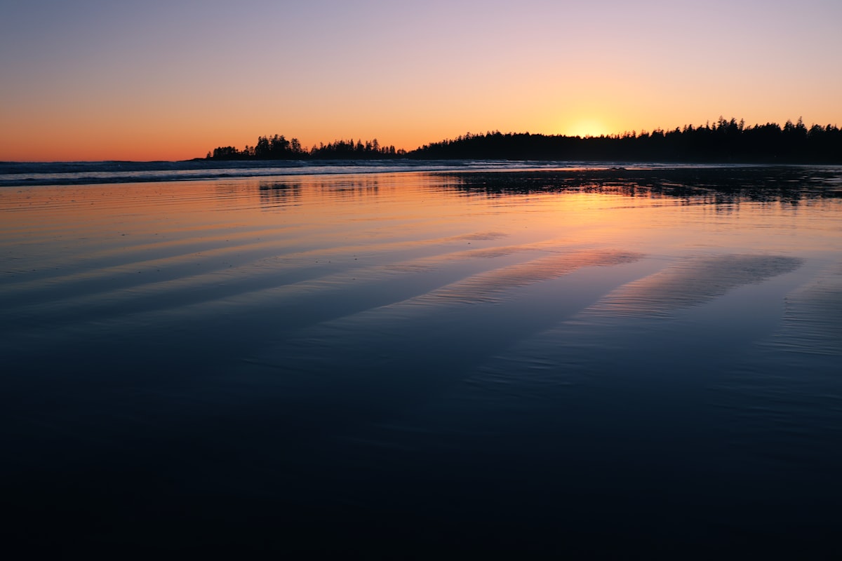 Offer Strategy That Wins: BC Buyer & Seller Tactics