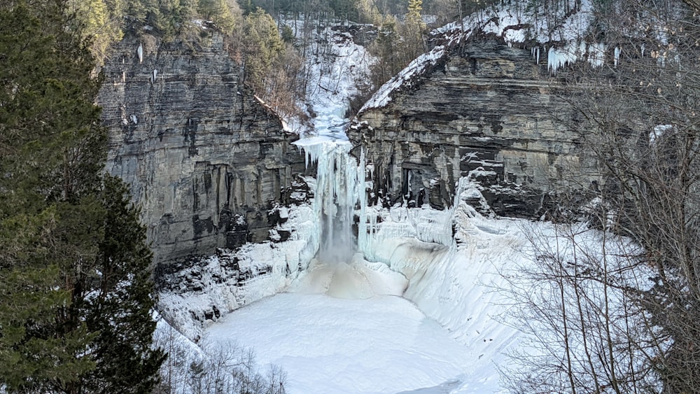 Una cascada congelada en medio de un bosque