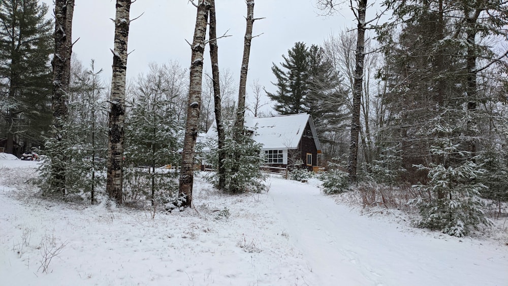 Ein Haus im Wald mit Schnee auf dem Boden