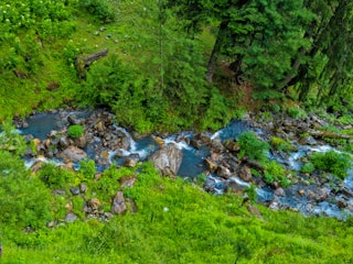 A serene forest landscape with a clear stream running through protected land.