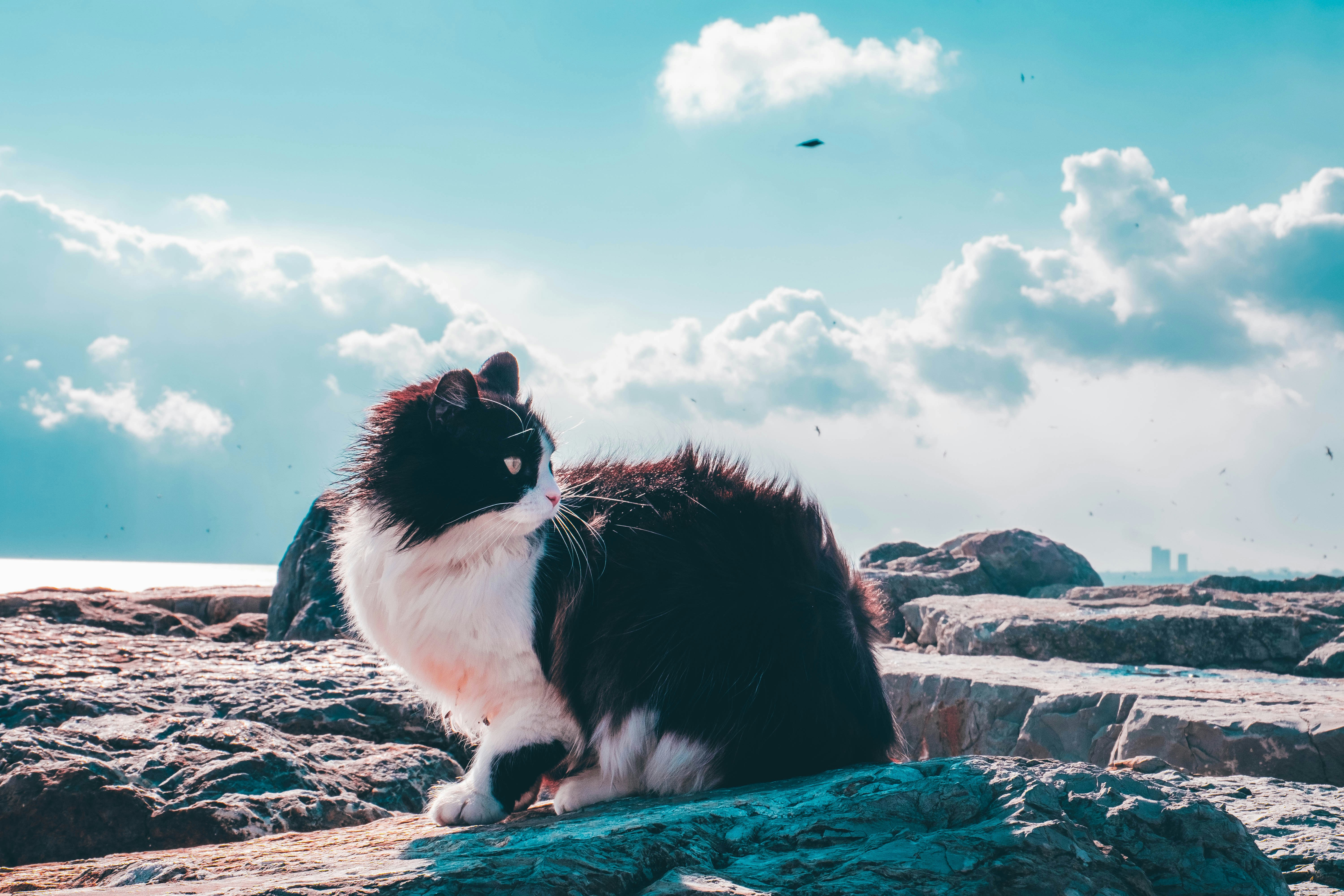 Photo by serhaterdogan