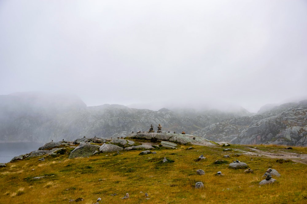 a couple of people standing on top of a grass covered hill