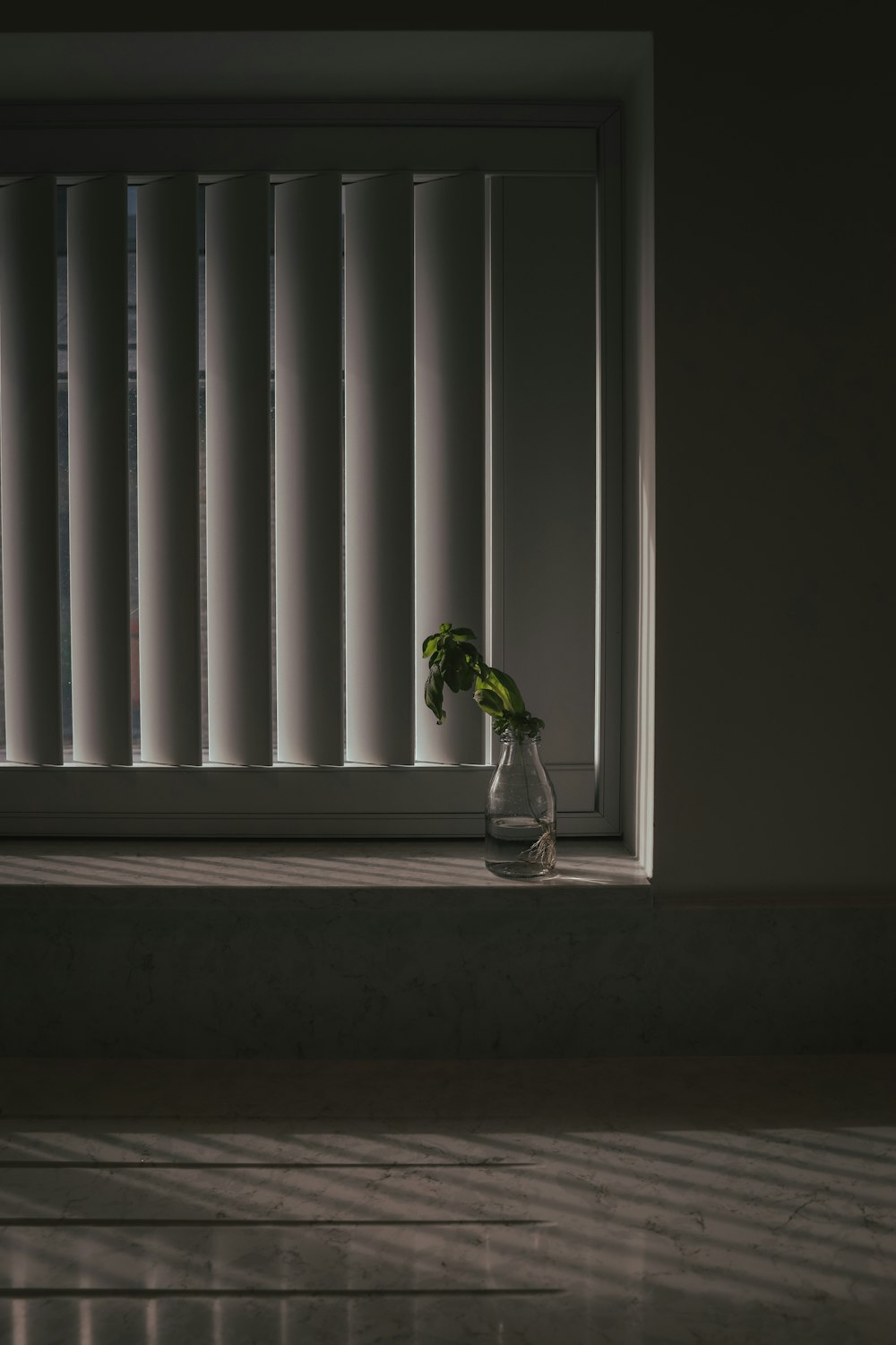a vase with a plant in it sitting on a window sill