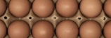 A close-up view of a dozen brown eggs arranged in a carton, showcasing their smooth, speckled surfaces nestled in a grid pattern.