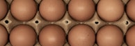 A close-up of fresh organic eggs in a rustic basket.