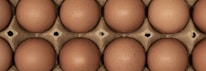 Close-up of fresh organic eggs in a rustic wooden crate.
