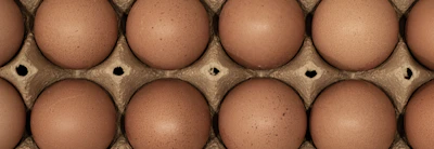Close-up of fresh eggs nestled carefully in a rustic carton, just collected.