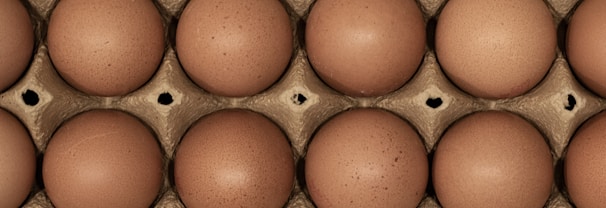 A close-up view of a dozen brown eggs arranged in a carton, showcasing their smooth, speckled surfaces nestled in a grid pattern.