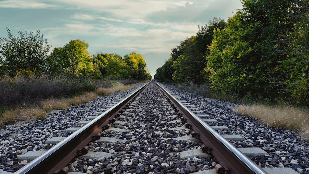 a train track running through a wooded area