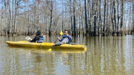 A yellow kayak glides along a tree-lined river, paddled by two people. One is actively rowing while the other is seated, looking away. Leafless trees rise from the water, casting reflections on the river's surface under a clear blue sky.