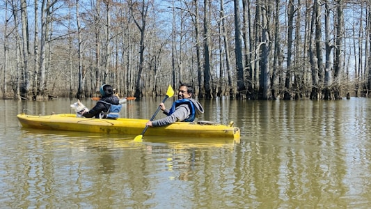 A yellow kayak glides along a tree-lined river, paddled by two people. One is actively rowing while the other is seated, looking away. Leafless trees rise from the water, casting reflections on the river's surface under a clear blue sky.
