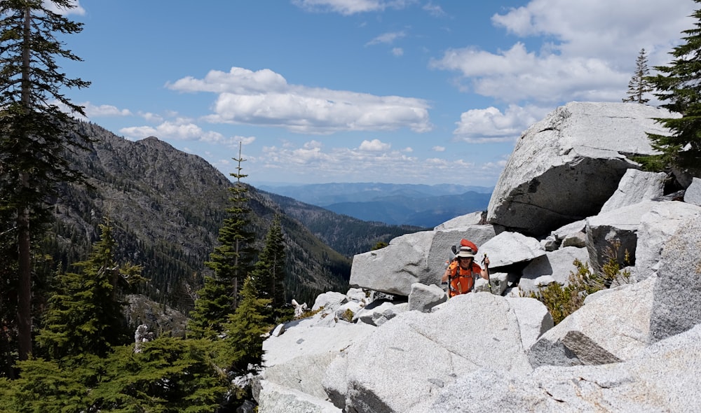 a man standing on top of a mountain next to a forest