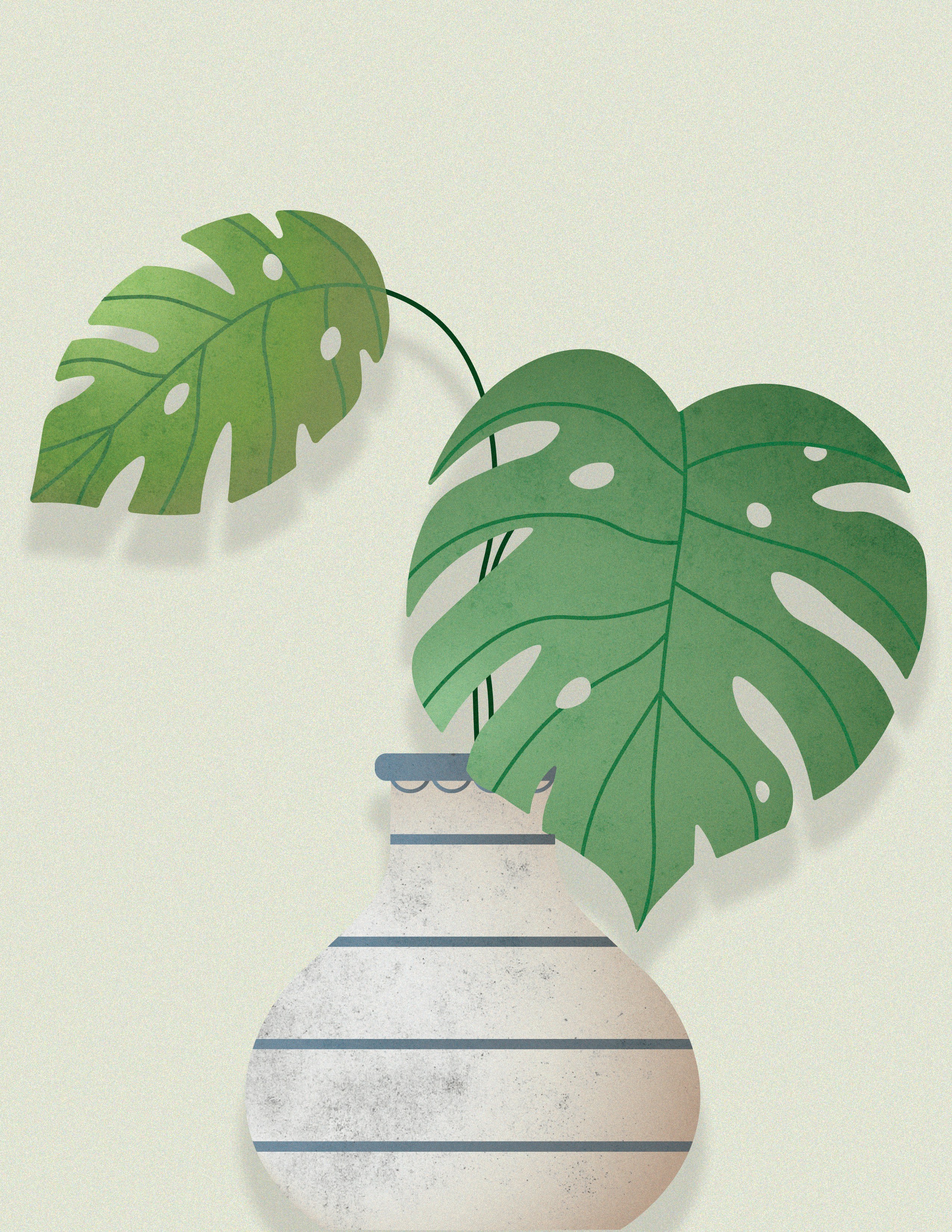 a white vase with a green plant in it