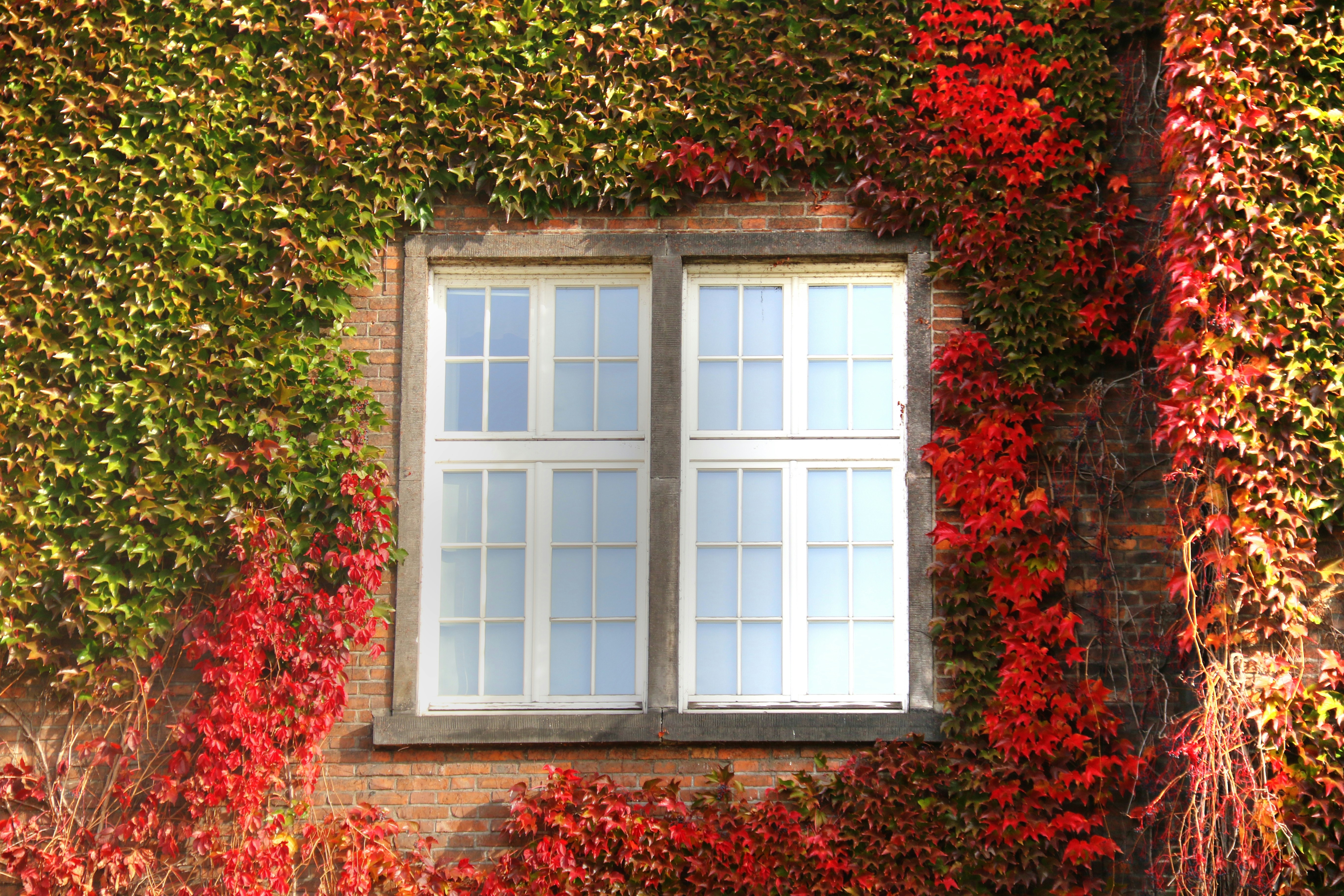 Photo by natkaszczerbatka