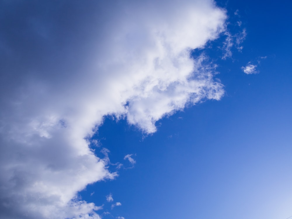 Un cerf-volant vole haut dans le ciel