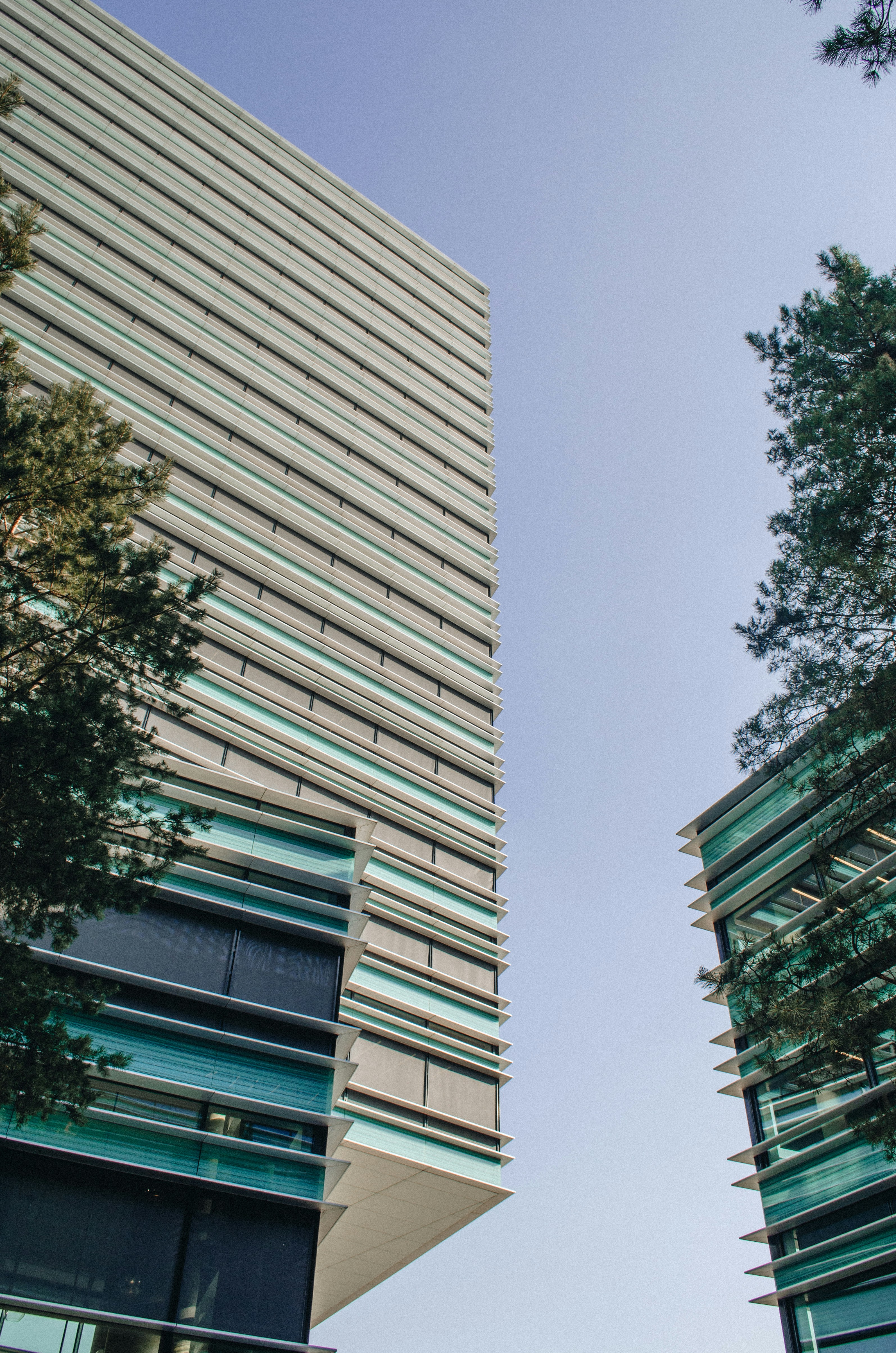 Photo by oscarphotoss