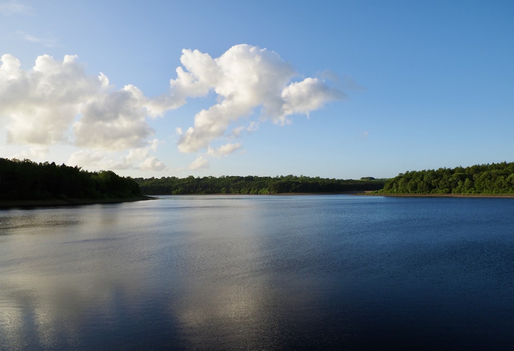 a large body of water surrounded by trees