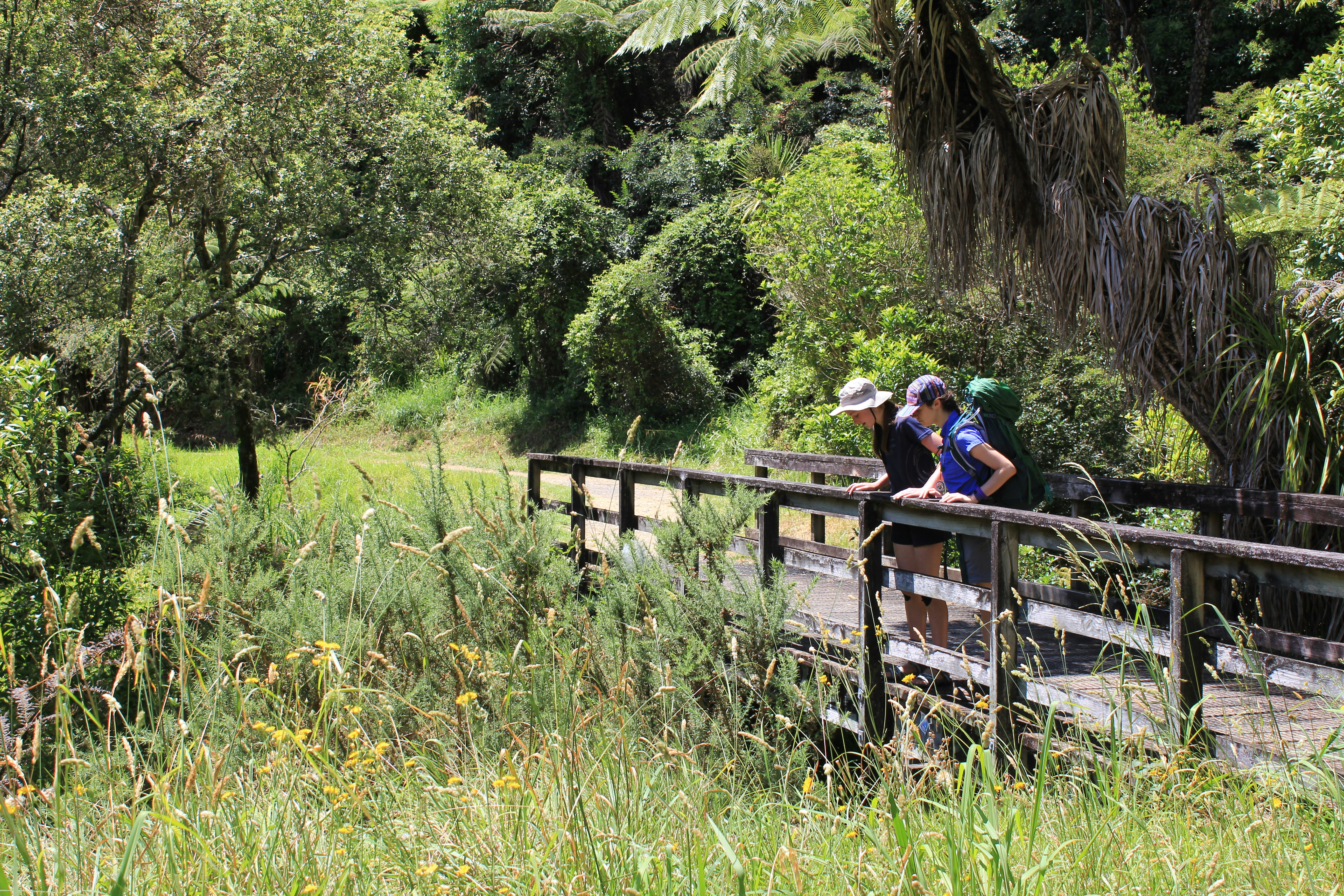 Stop image for Bozeman & Gallatin National Forest: 2-Day Family Nature Loop - a couple of people that are standing on a bridge -  in Rocky Mountains & Northern Rockies - Photo by Fiona Jackson on Unsplash