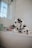 A Dalmatian dog with black spots sits inside a white bathtub in a modern bathroom. The bathroom features a glass shower partition and a window that allows natural light to filter in. Various bath products and a small plant are placed on the bathtub's edge.