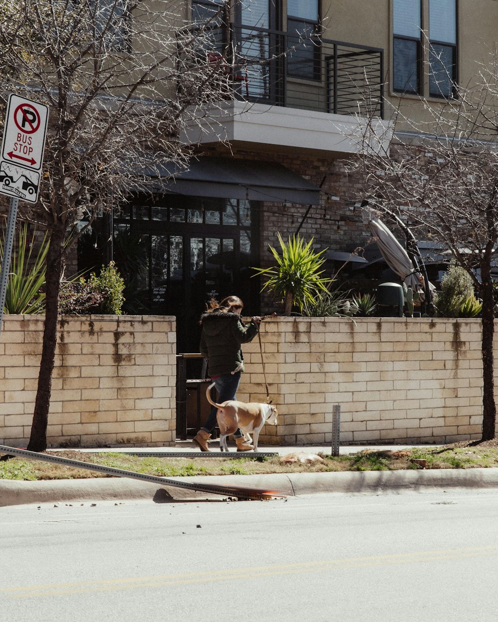 a man walking a dog on a leash down a sidewalk