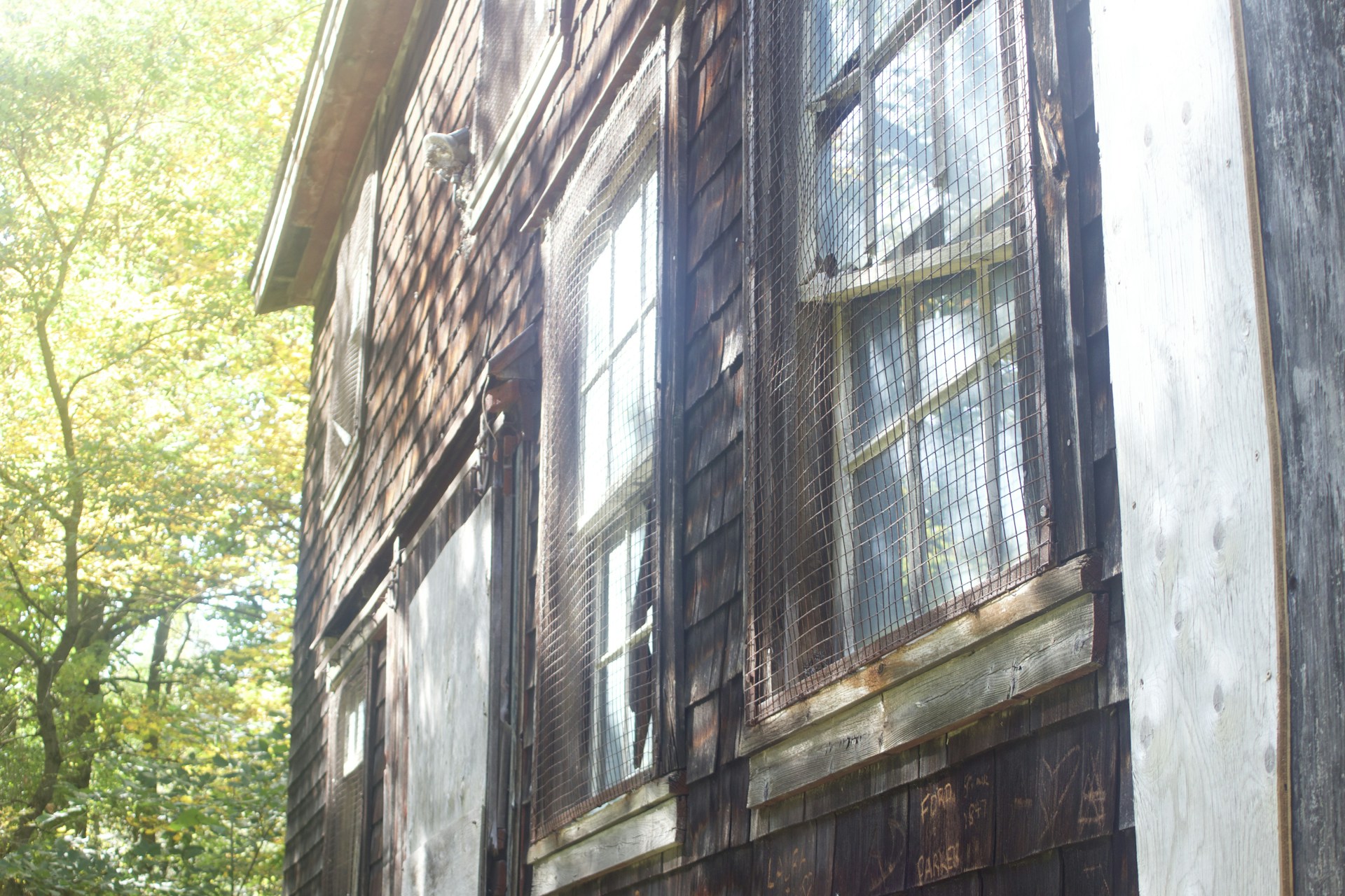 gray computer monitor